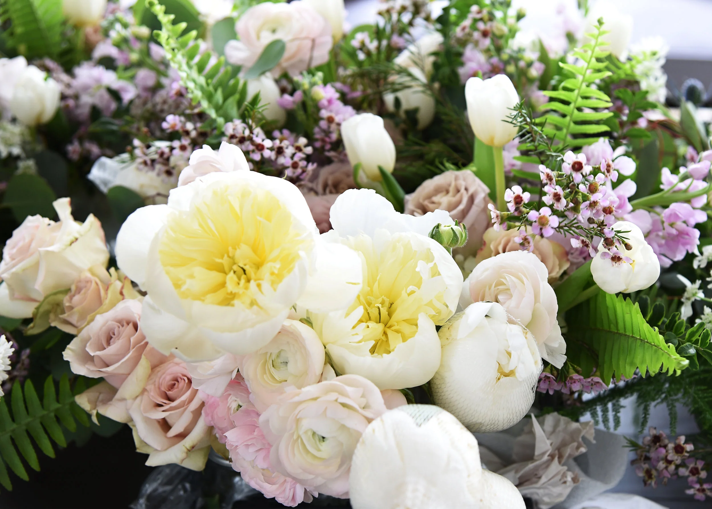   Picture Perfect by Paula  