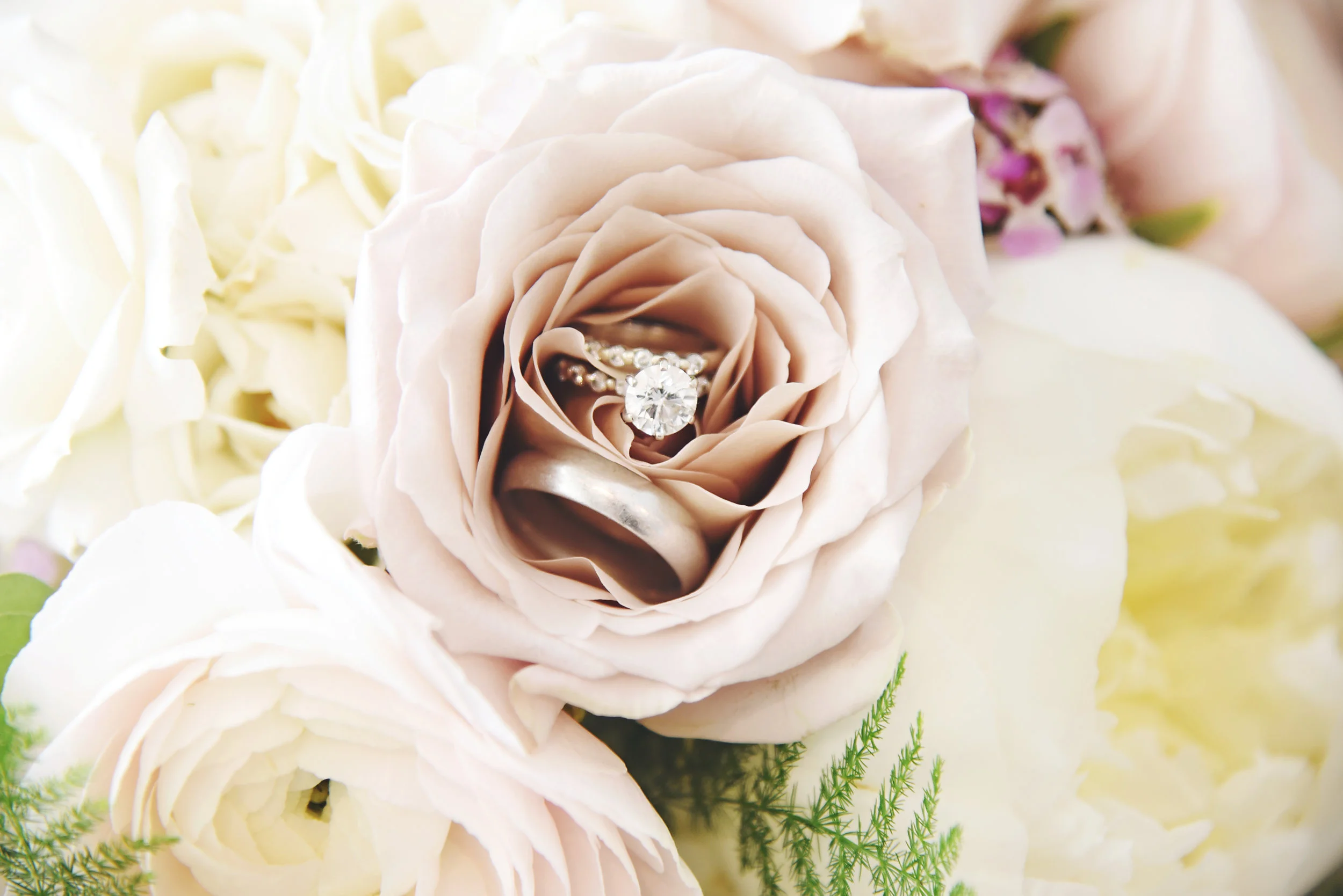   Picture Perfect by Paula  