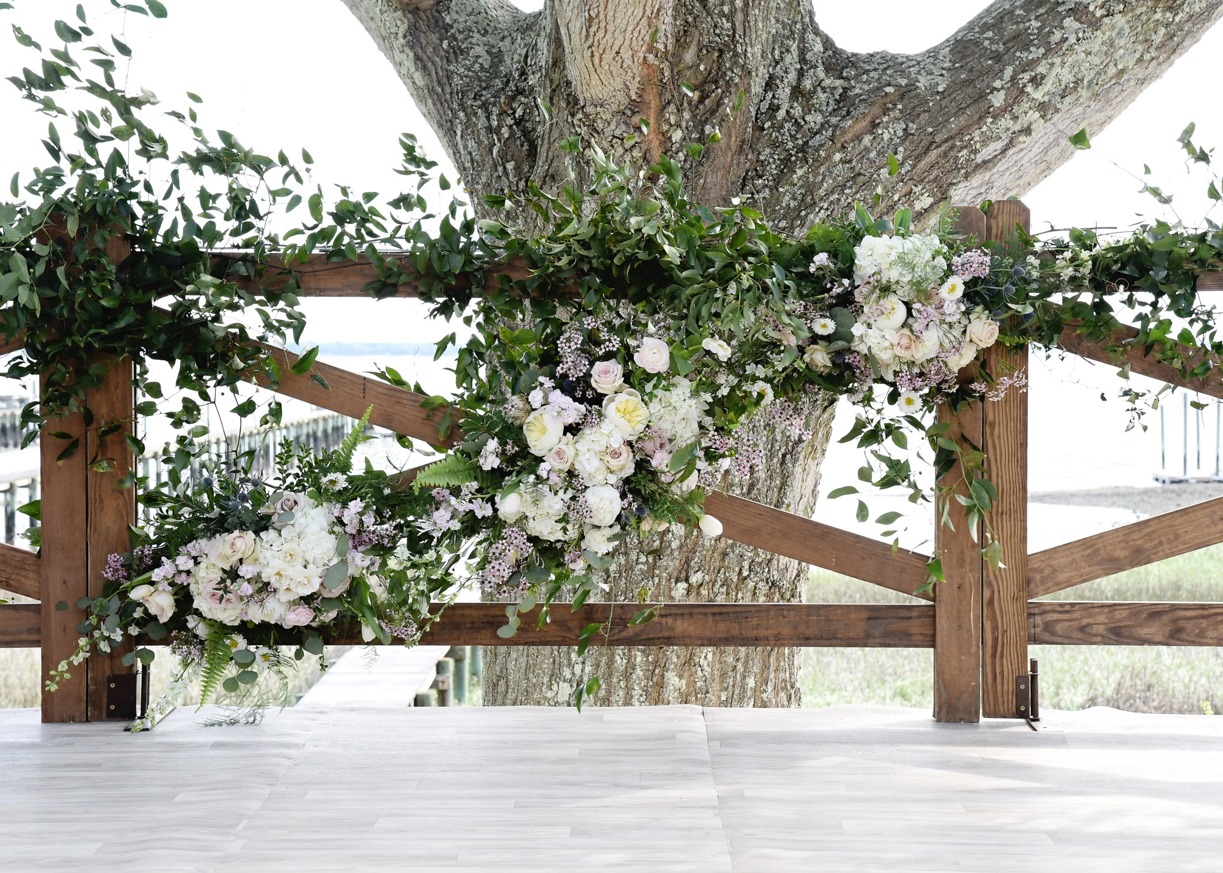   Picture Perfect by Paula  