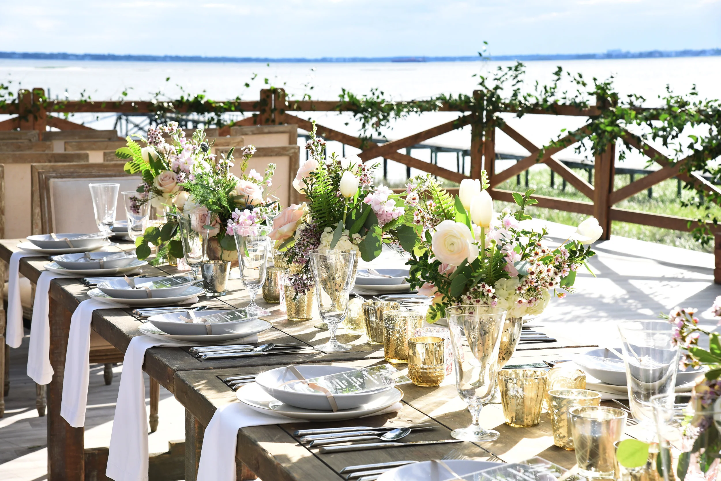   Picture Perfect by Paula  