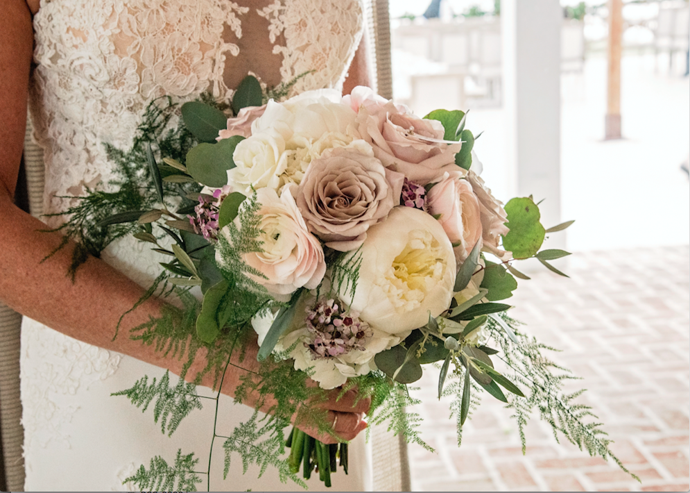   Picture Perfect by Paula  