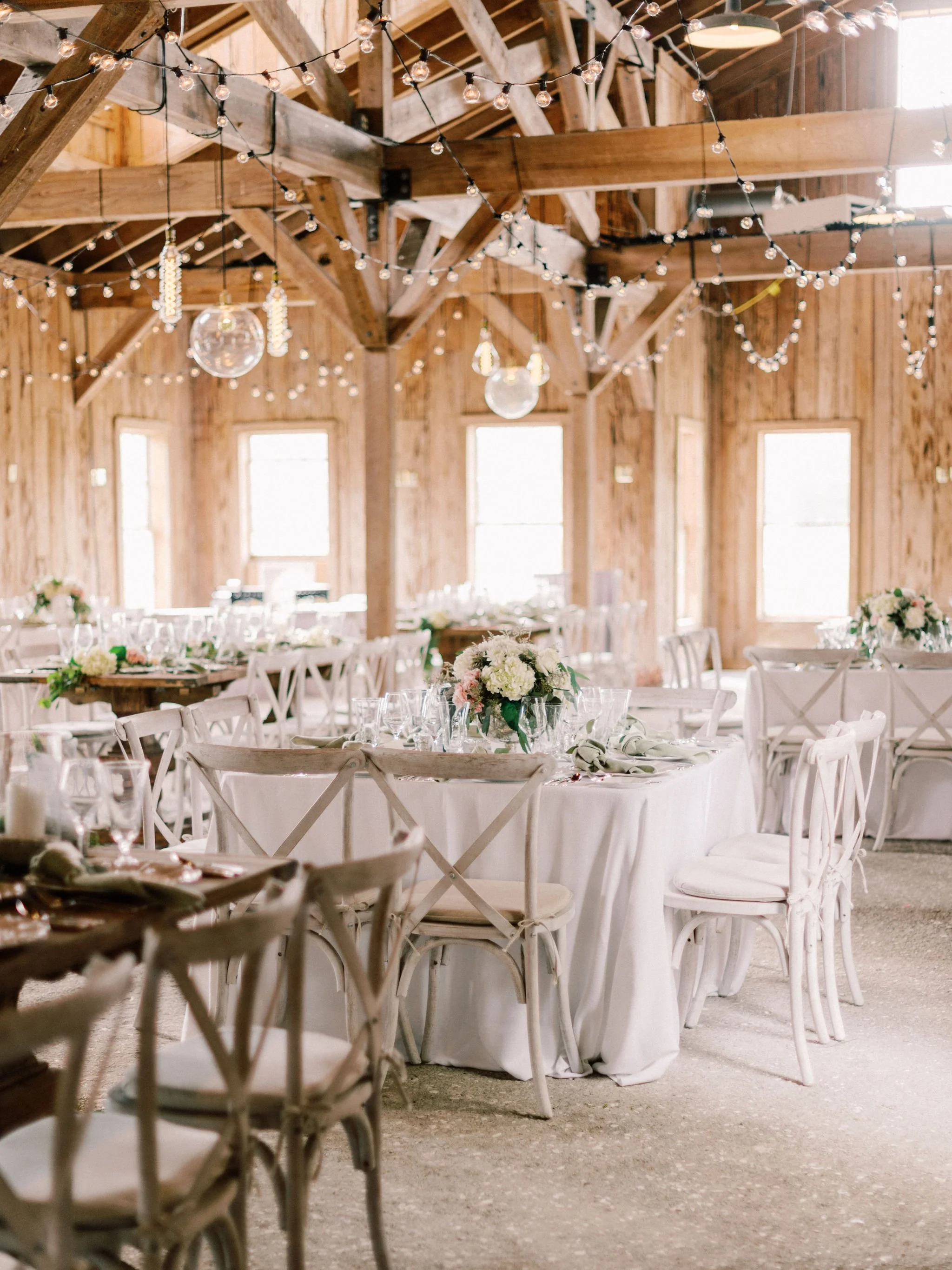   Rachel Red Photography  