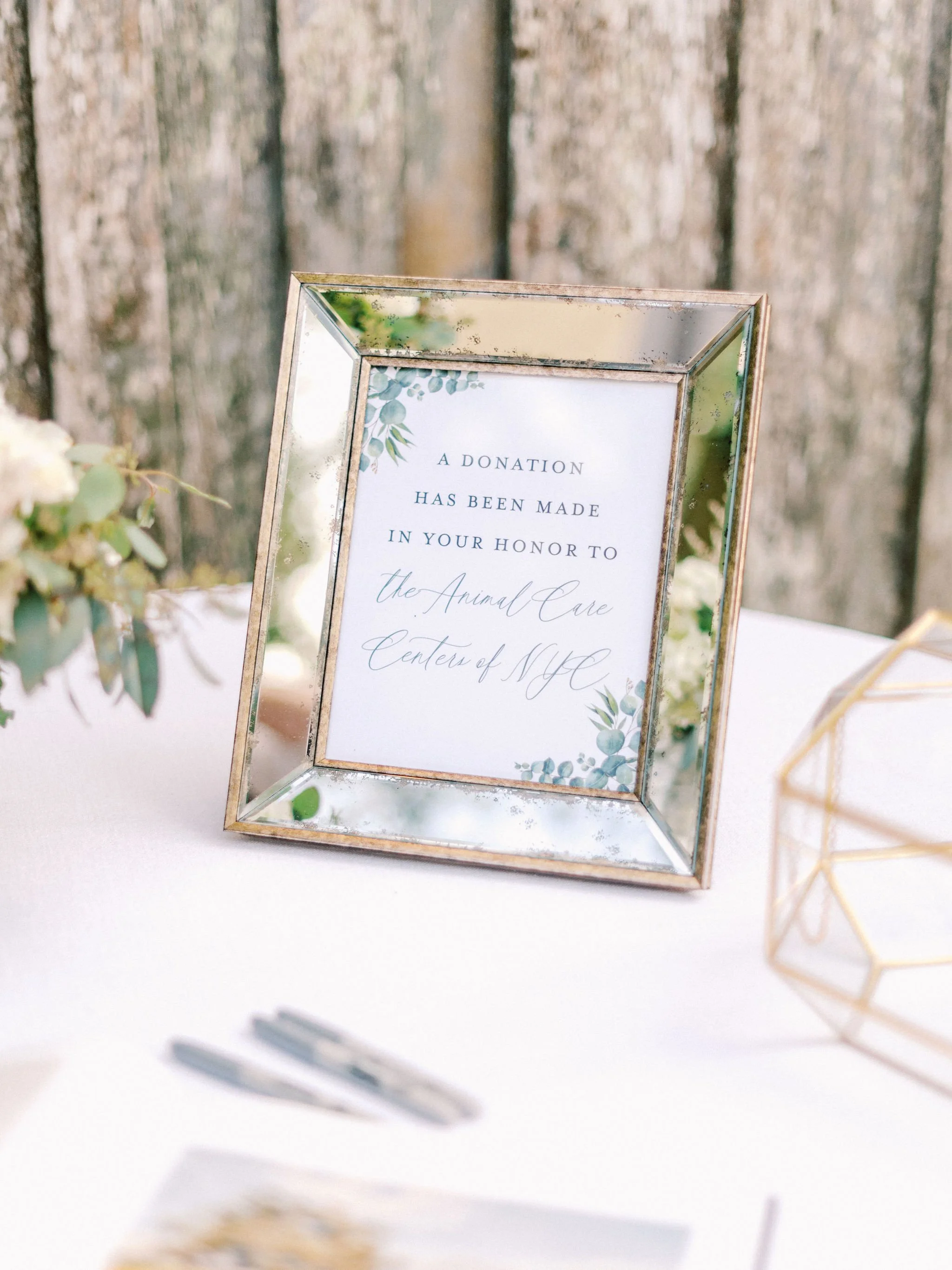   Rachel Red Photography  