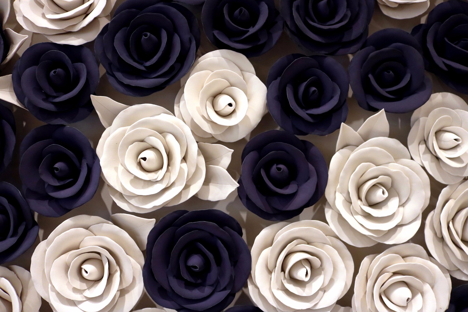 alissa-coe-bellagio-roses-closeup.jpg