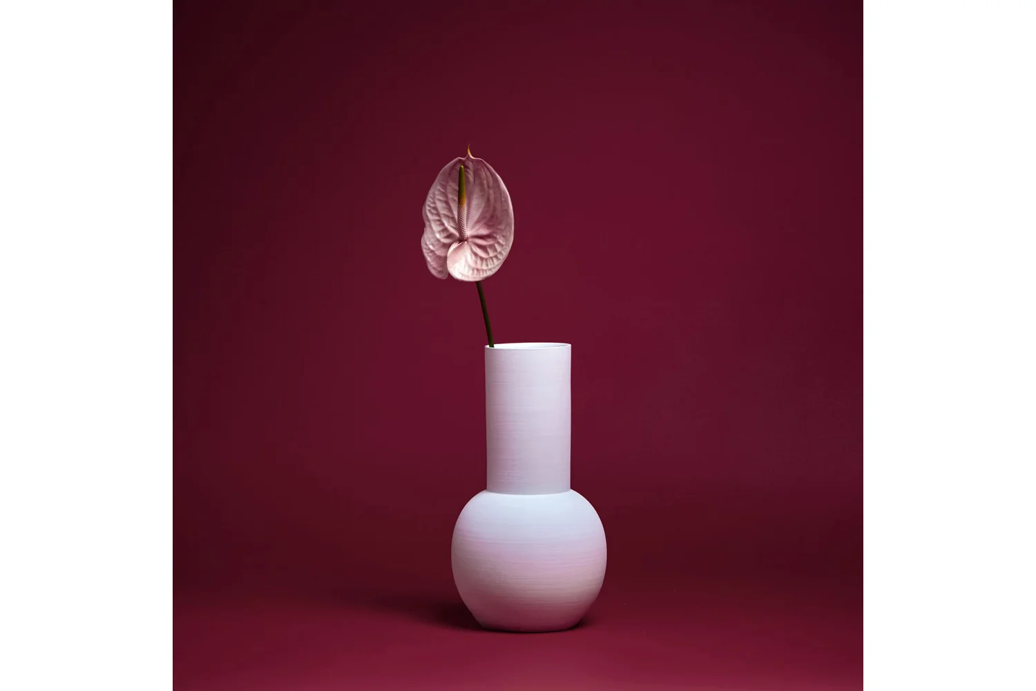 alissa-coe-shapes-red-single.jpg