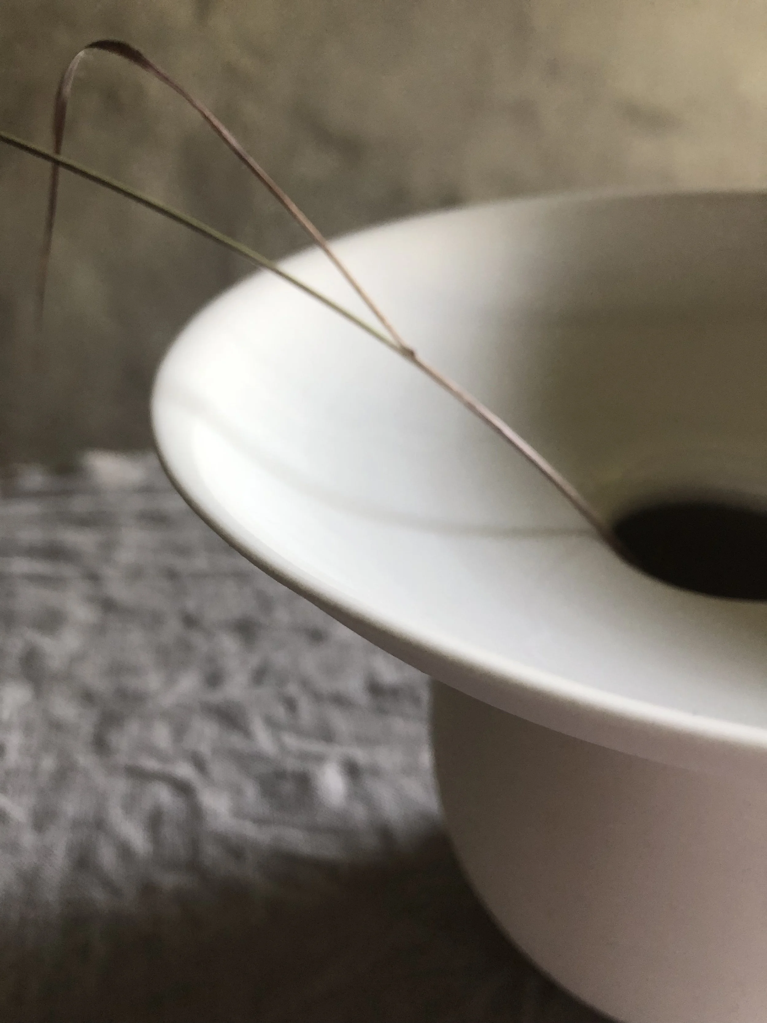B707FB43-C3D1-4A5D-901D-1234284730C3.jpeg