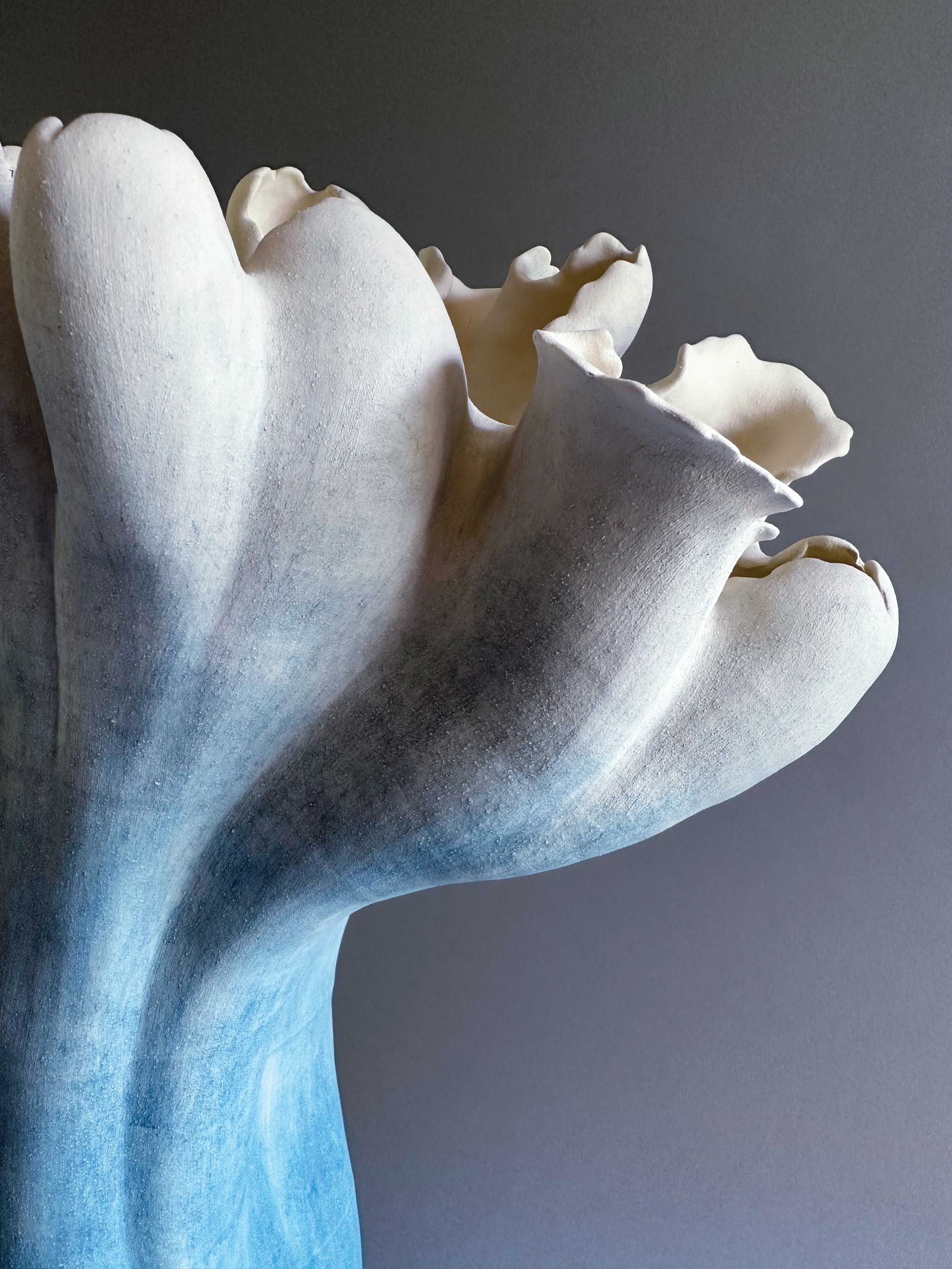 alissa coe studio-flora-blue-B.jpg