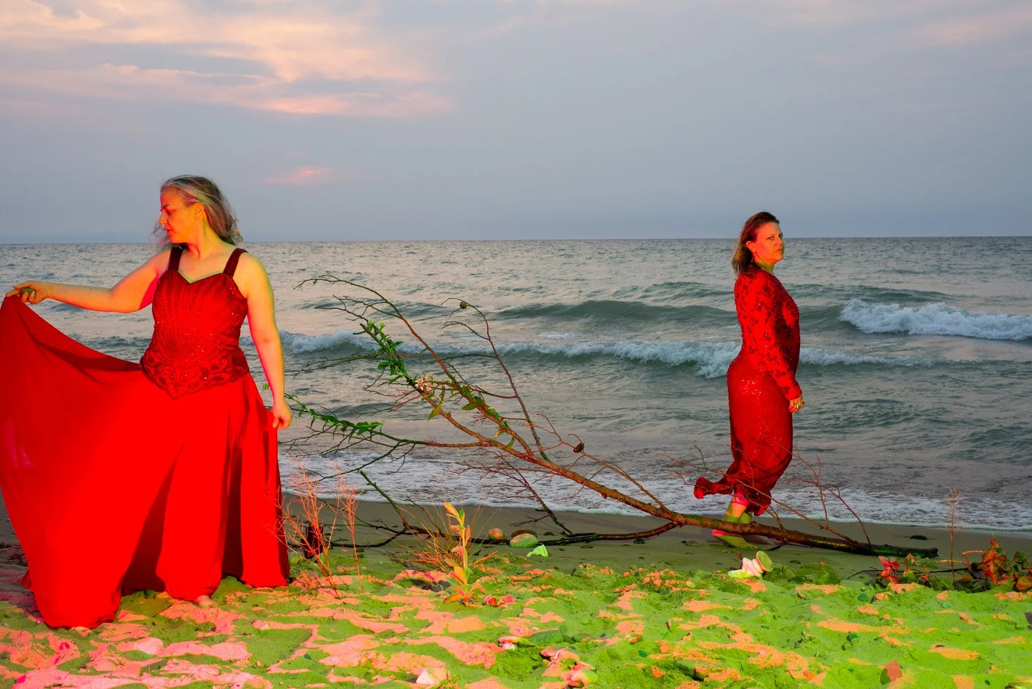 indianapolis artist Paula Shoultz 