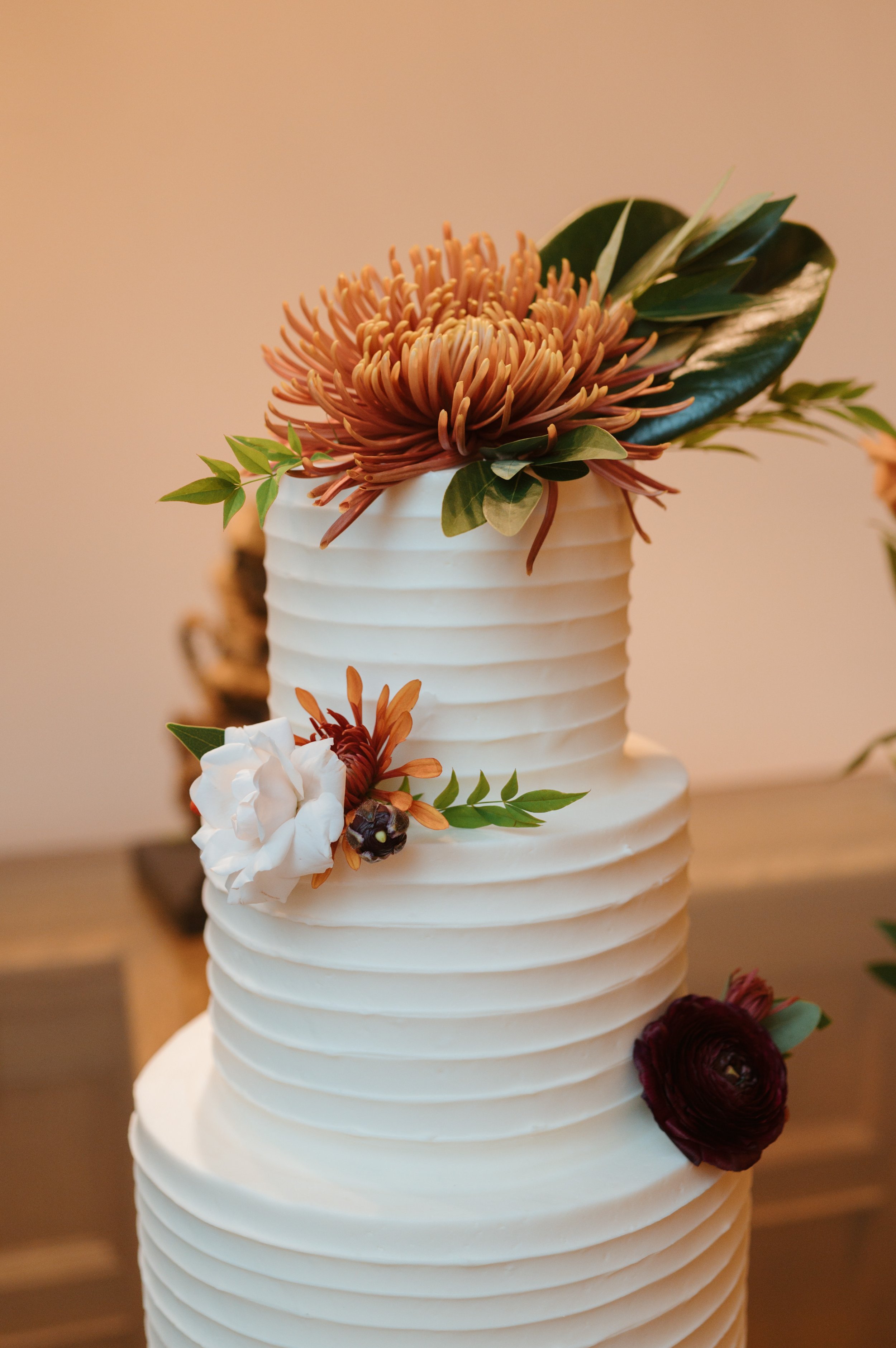 Abbey Elaine Photography