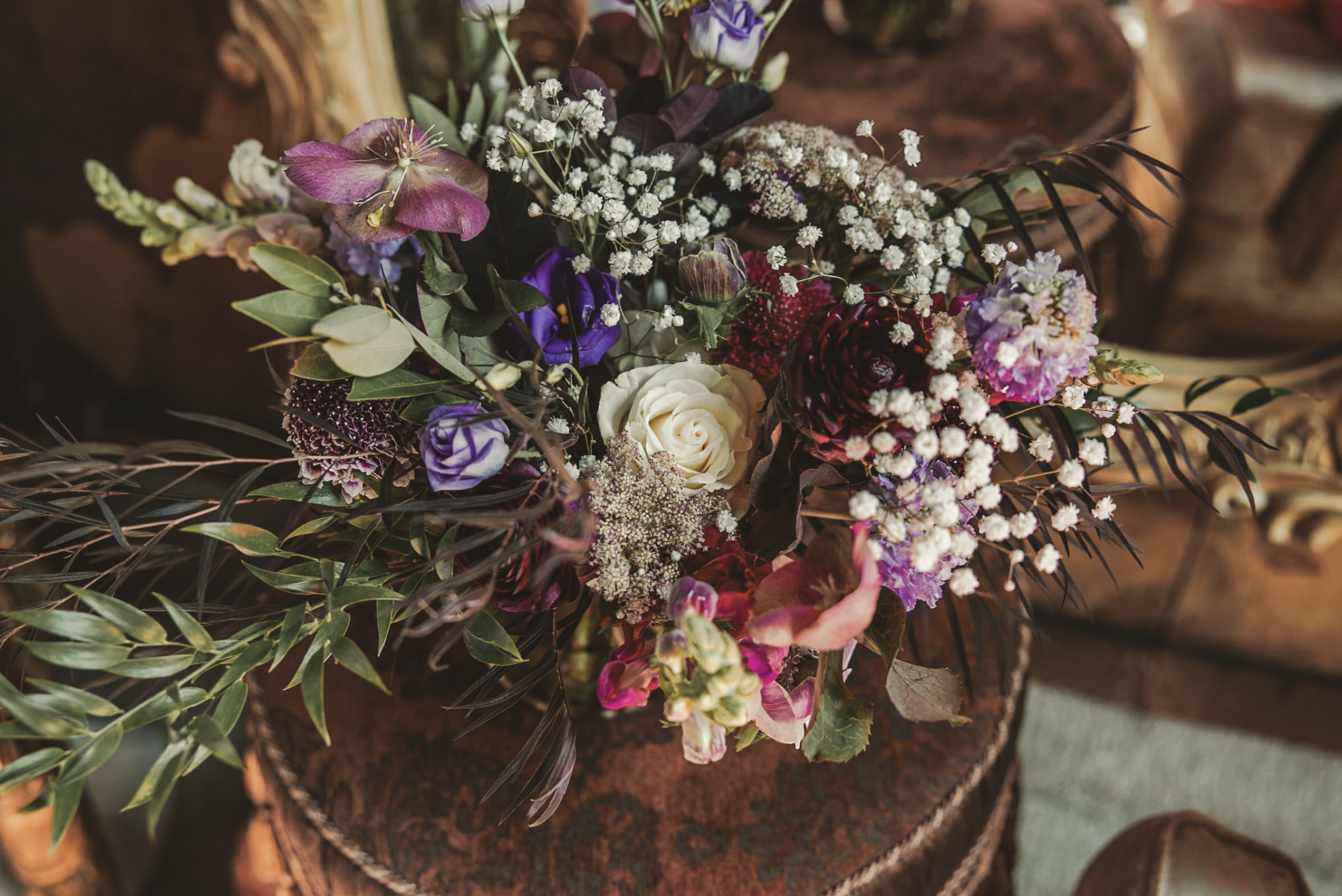 Tushona M Photography