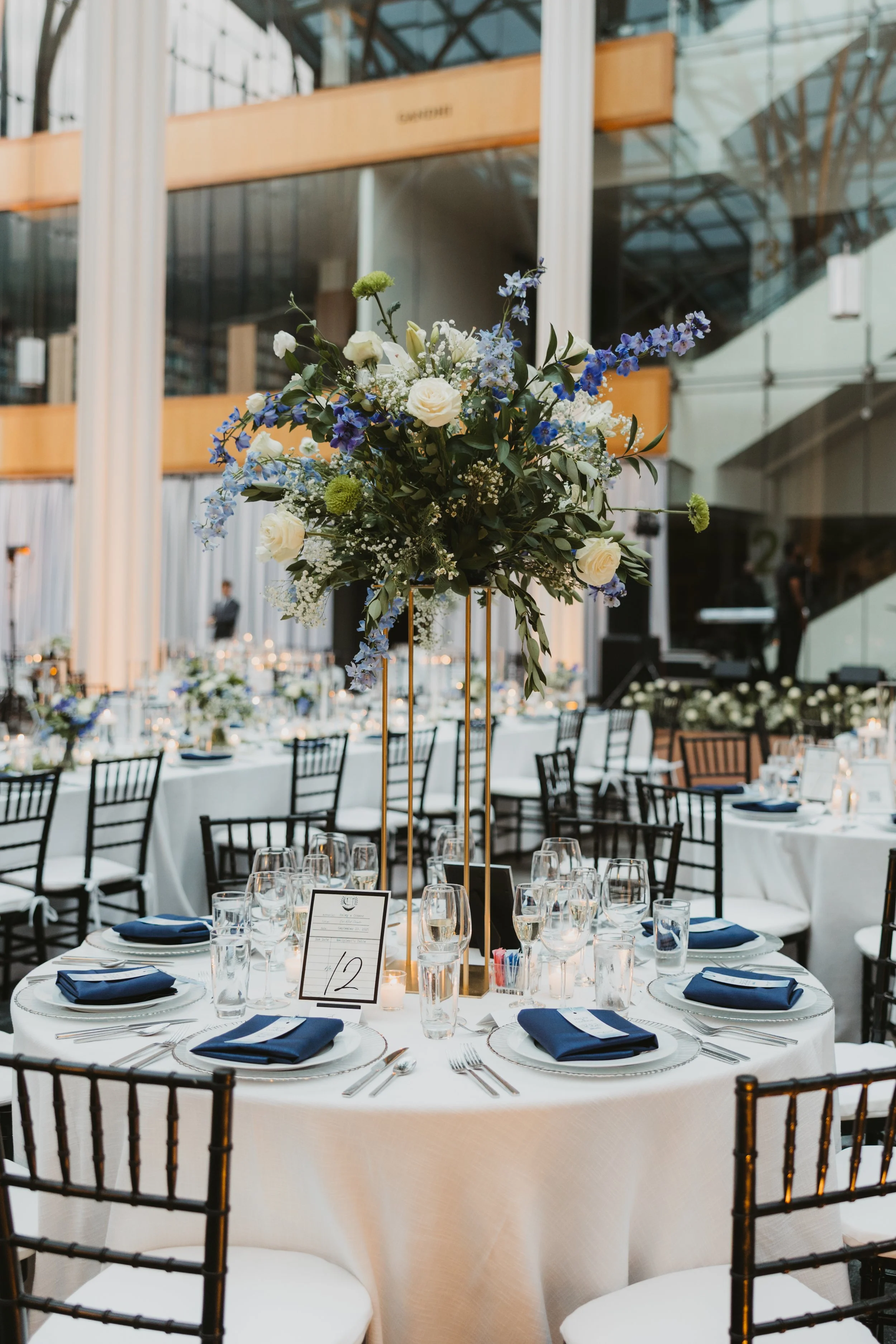 Copperhead Photography