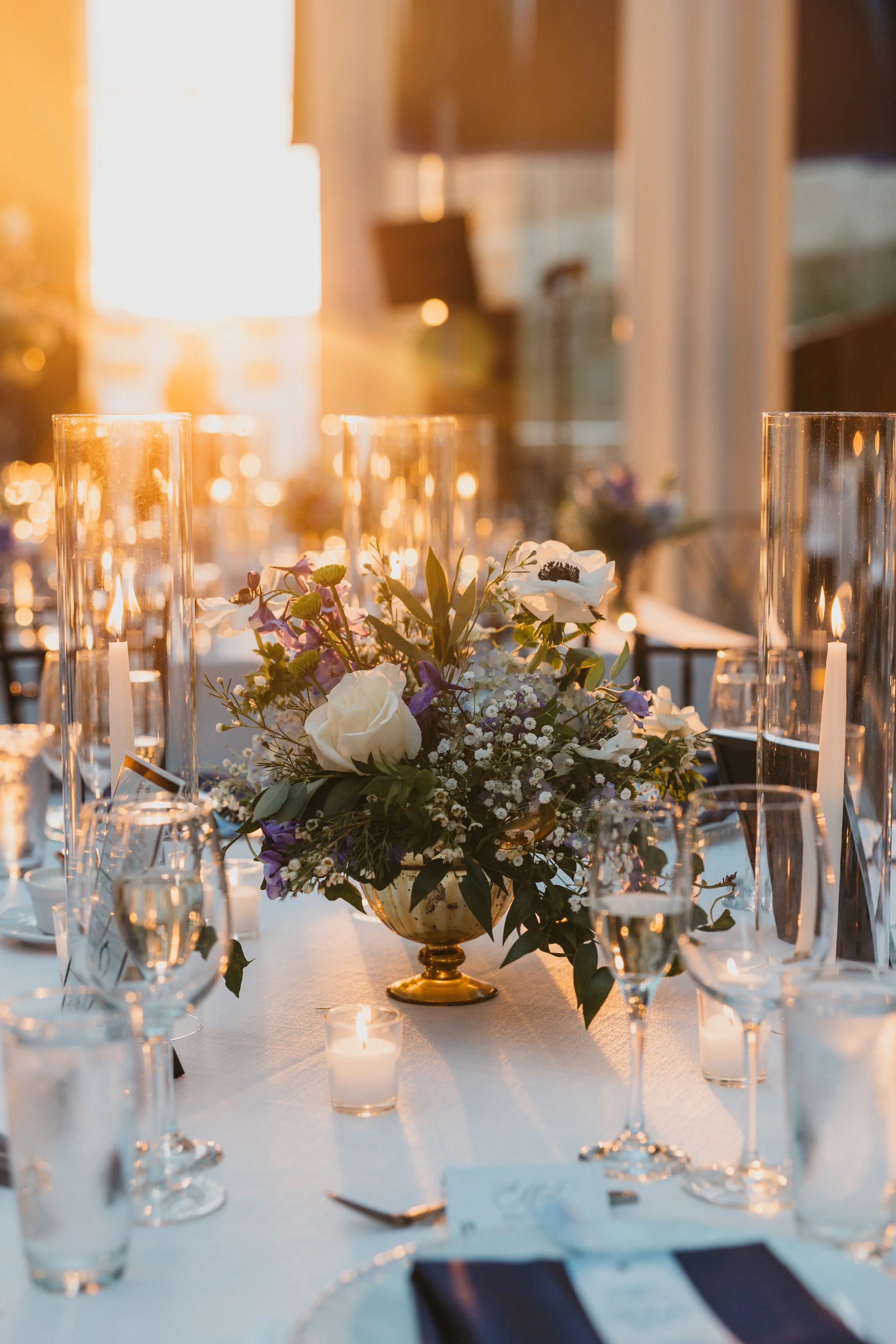 Copperhead Photography