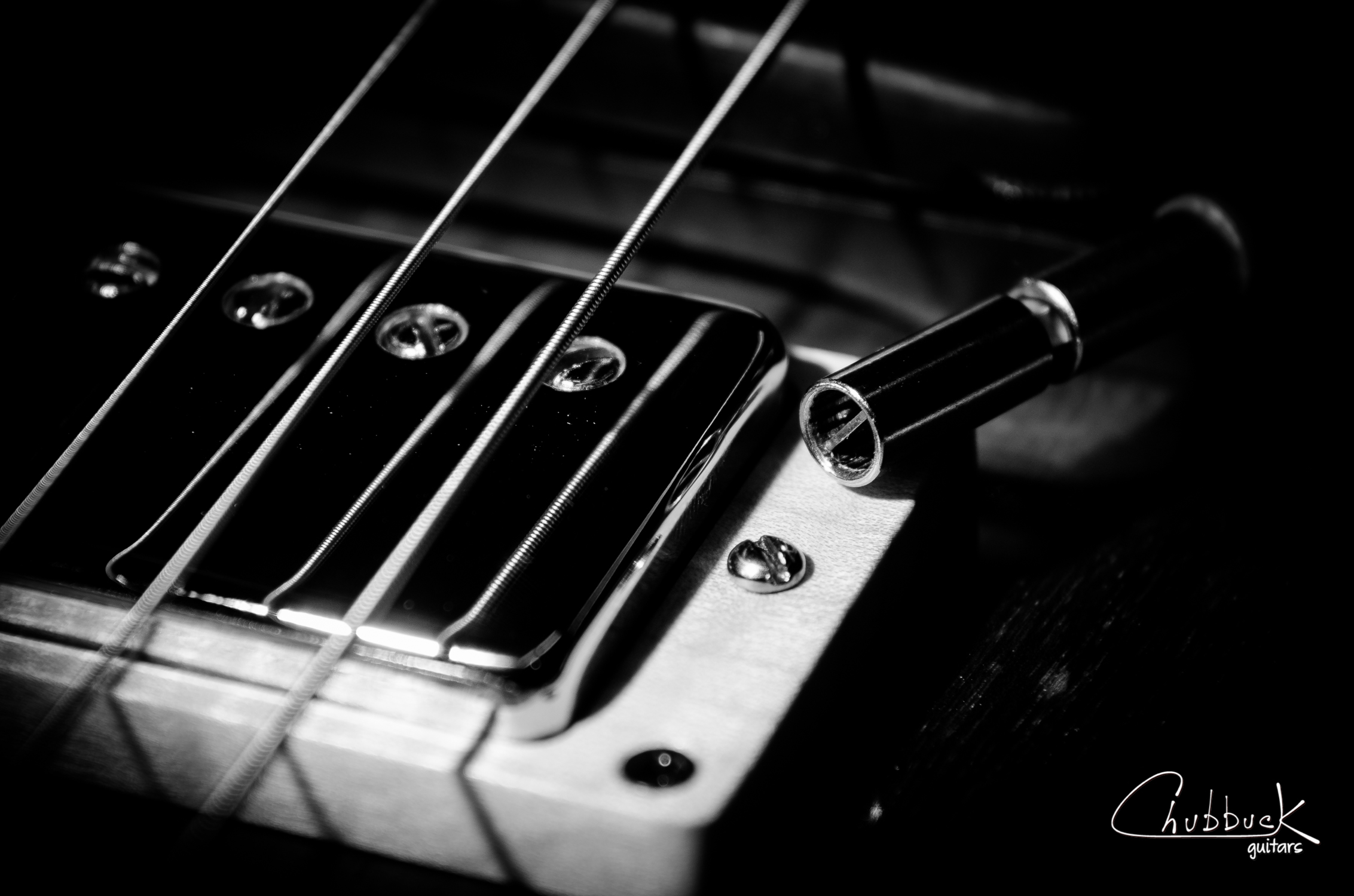 Stewart-MacDonald's Guitar Tech Screwdriver Kit, using the "no slip" flat blade.