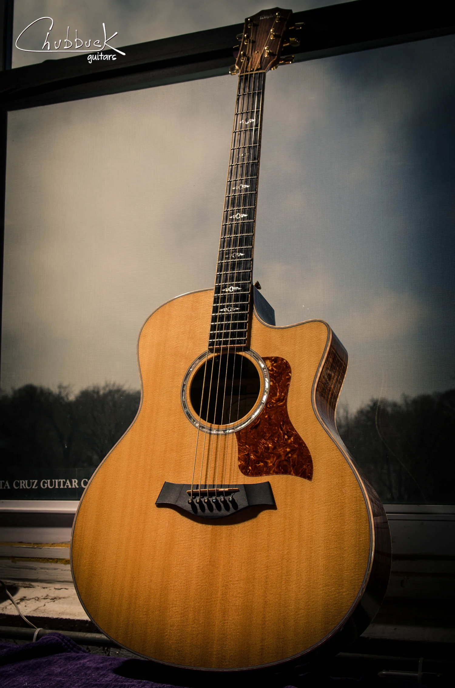 Setup :: 2012 Taylor 816CE [5.1 lbs]