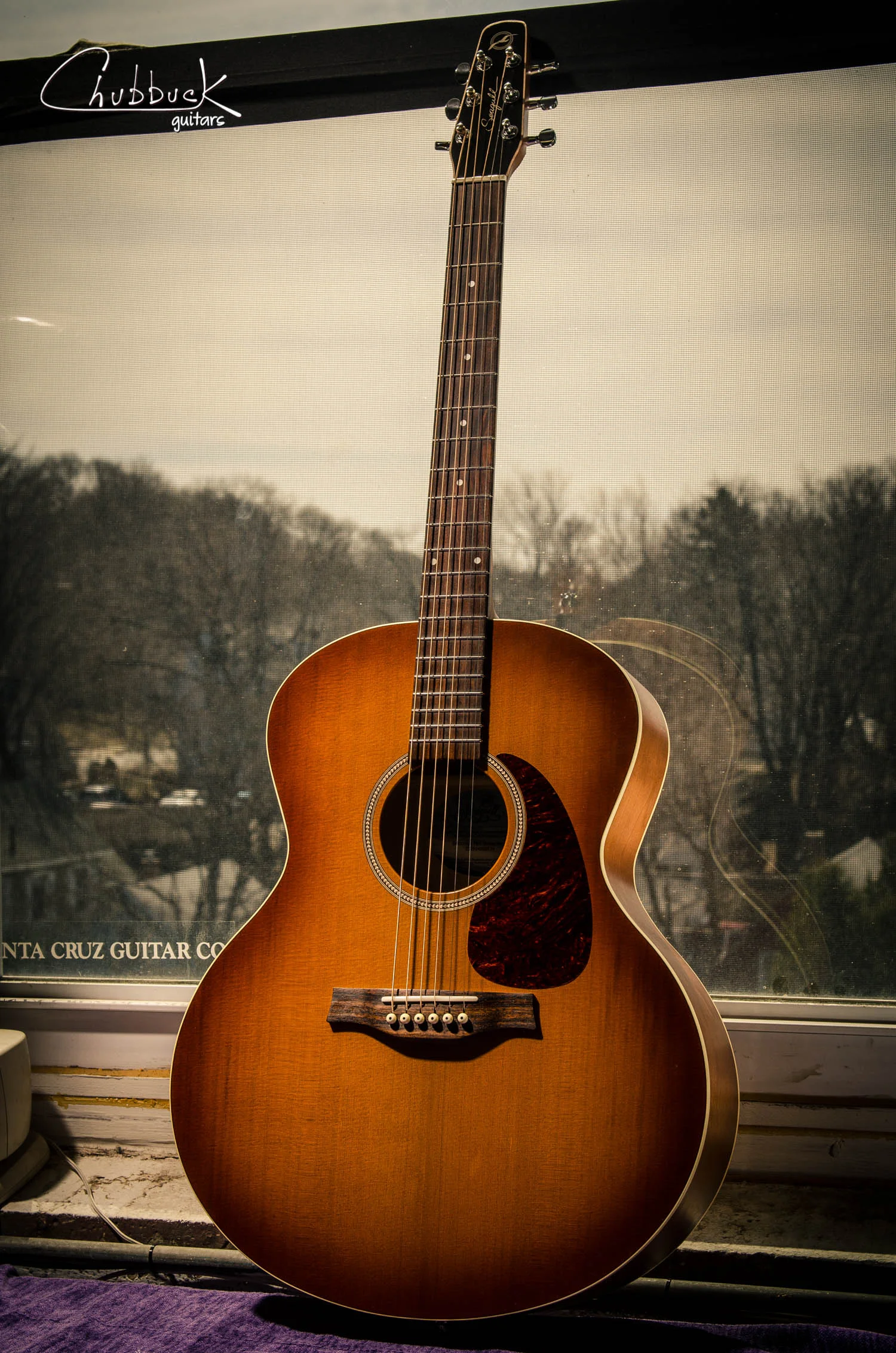 Sharp fret ends :: Seagull Entourage Mini Jumbo [4.3 lbs]