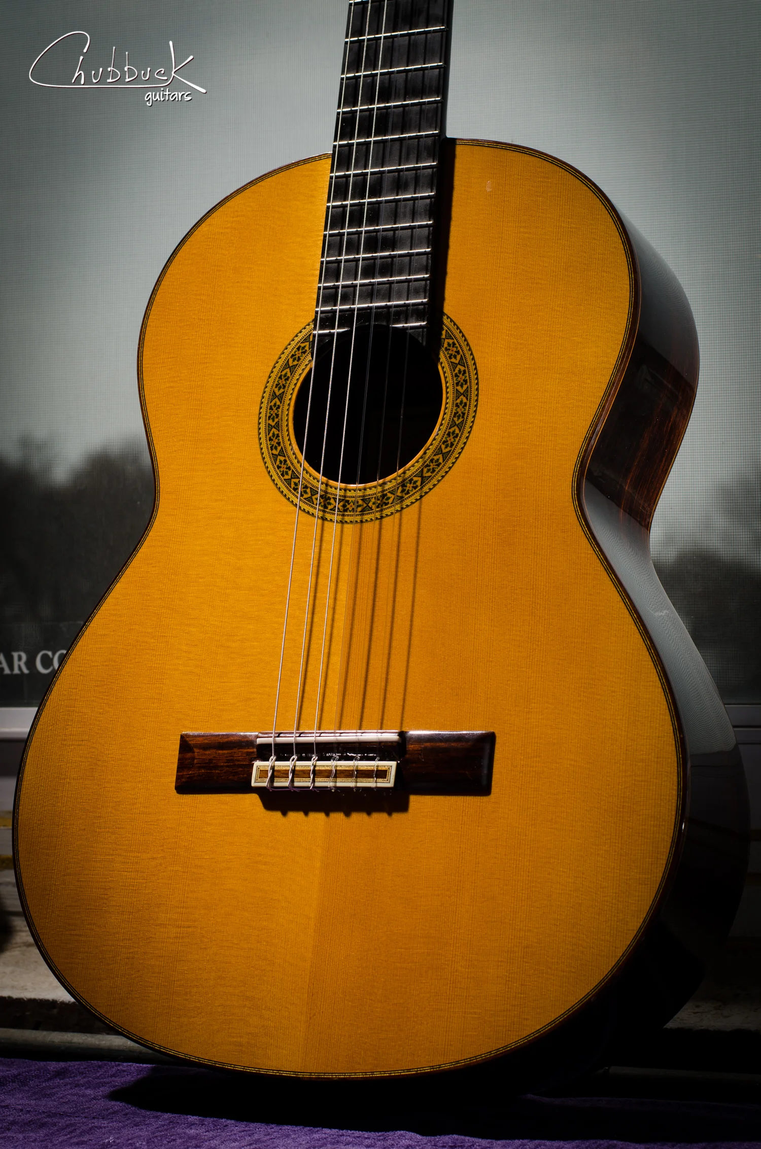 Fingerboard extension top crack splint :: 2007 Pavan TP-30 [3.9 lbs]