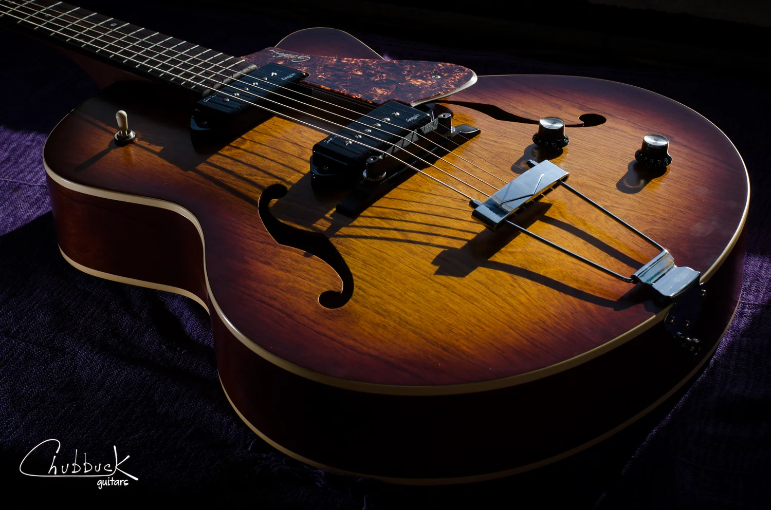 Godin 5th Avenue Kingpin [5.2 lbs] :: Dog Ear pickup adjust & setup