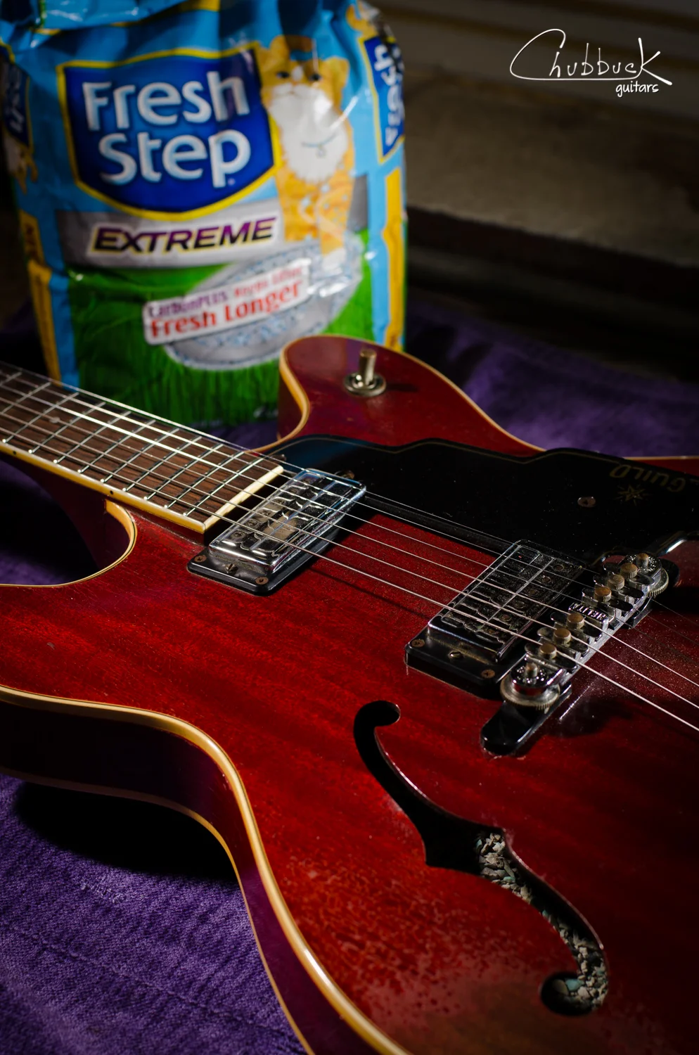 I poured kitty litter into your guitar :: 1967 Guild Starfire IV