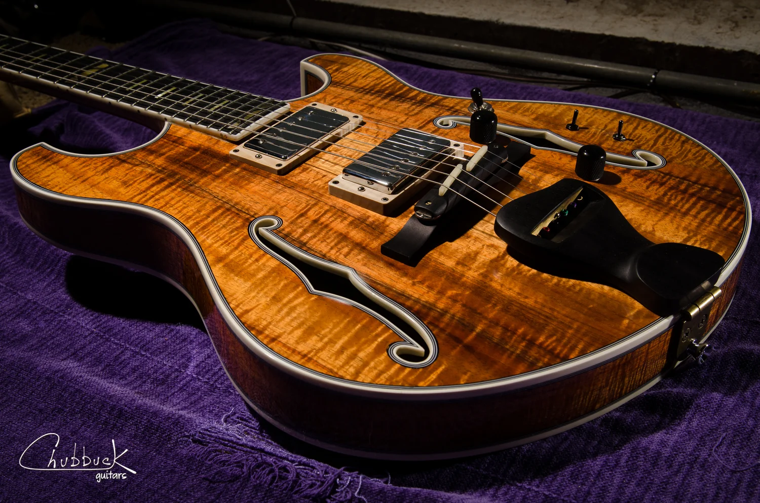 2010 Equator Languedoc copy [5.5 lbs] :: new pickup rings & setup