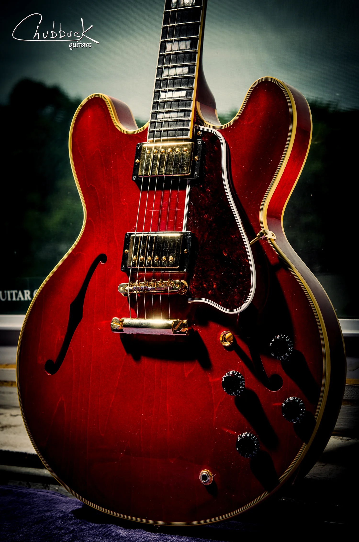 Excessive relief yet not enough :: 2014 Gibson ES-355 [8.6 lbs]