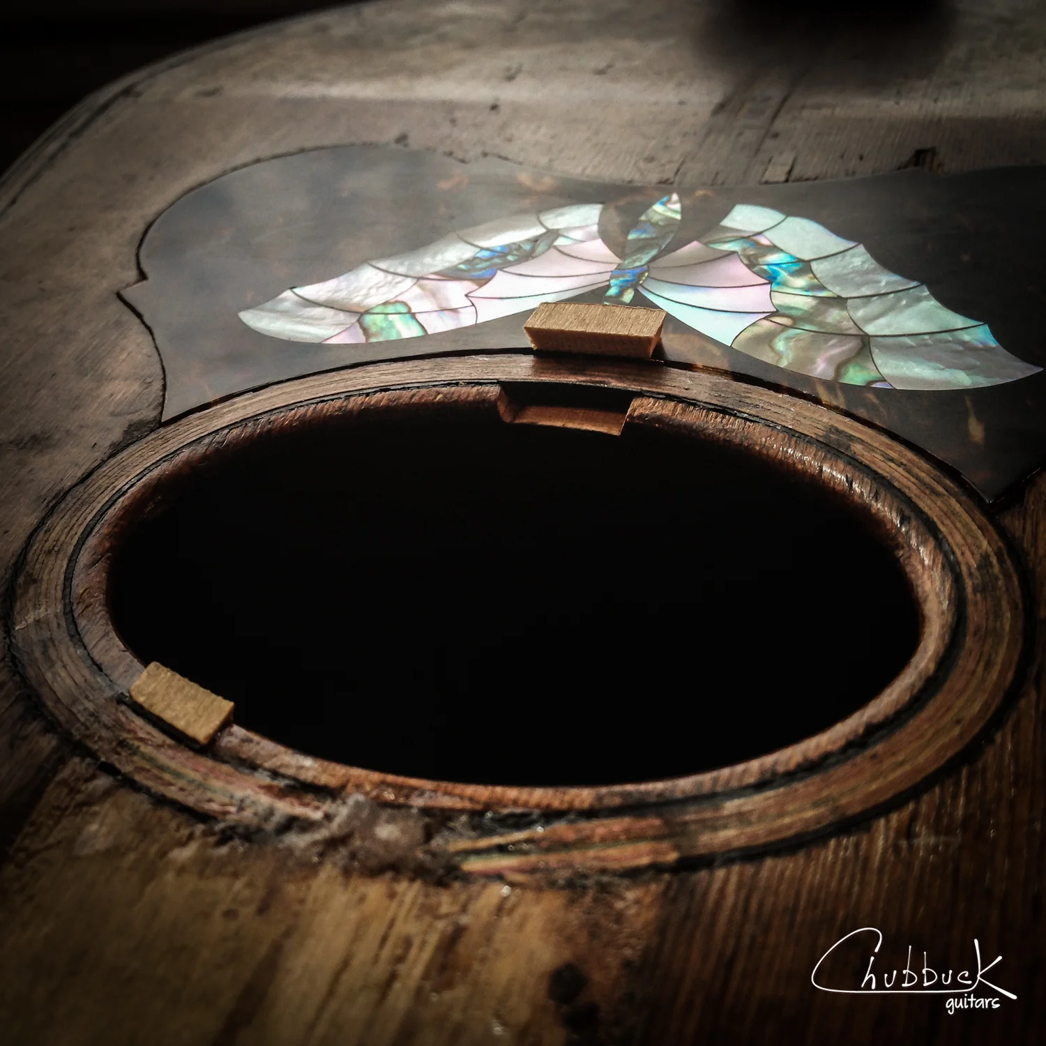 Missing soundhole pieces :: Lyon & Healy Bowl Back Mandolin
