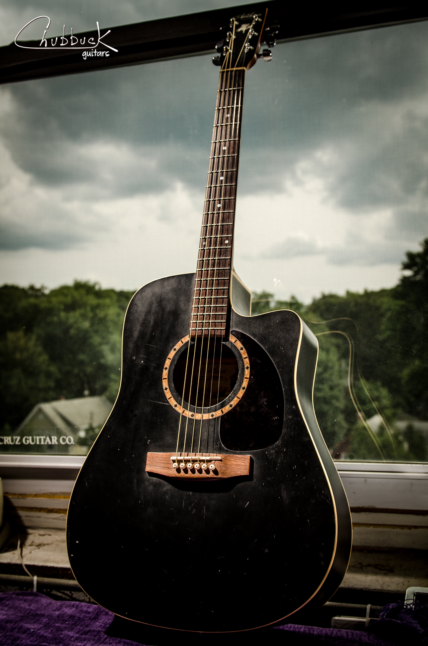 New bone saddle :: Art & Lutherie Cedar CW [4.8 lbs]