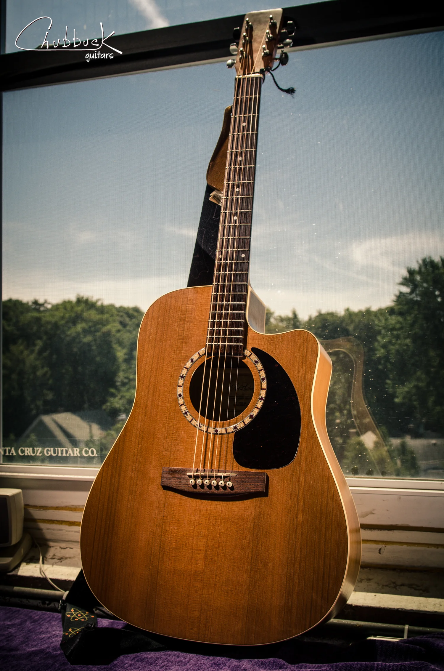 Setup :: Art & Lutherie CW Cedar QI [5.0 lbs]