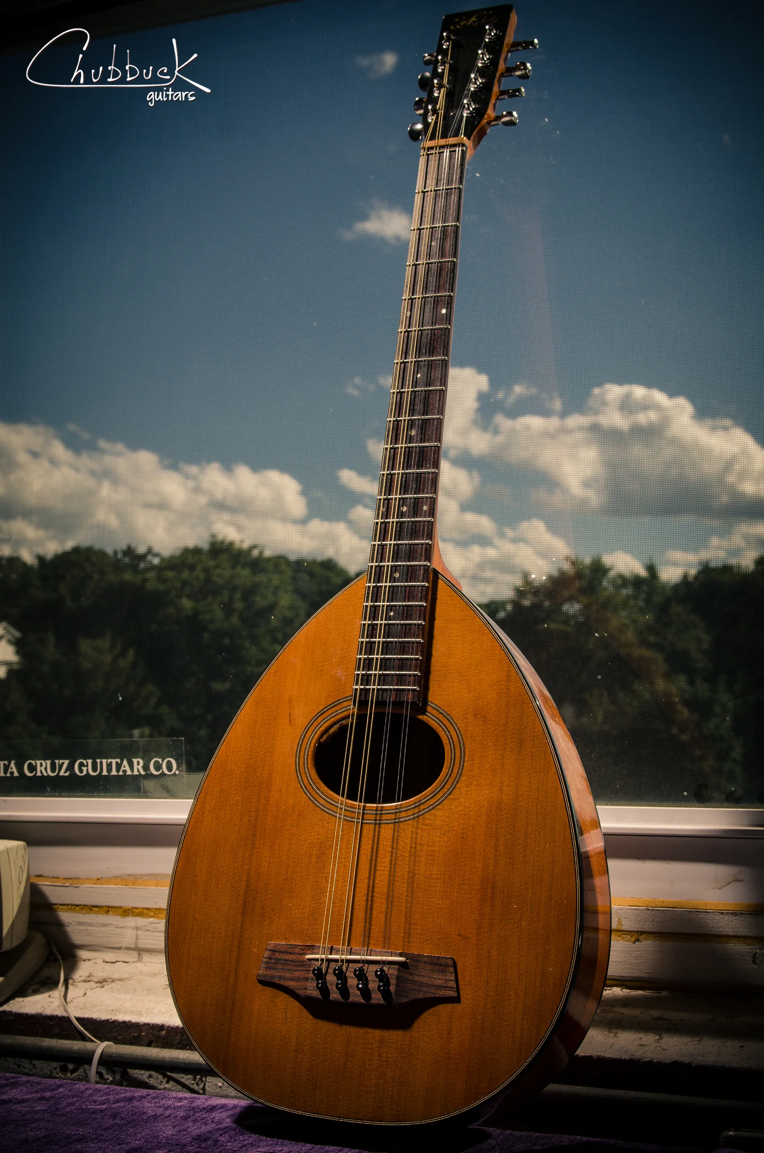 Fylde Octavius Bouzouki [3.5 lbs] :: setup