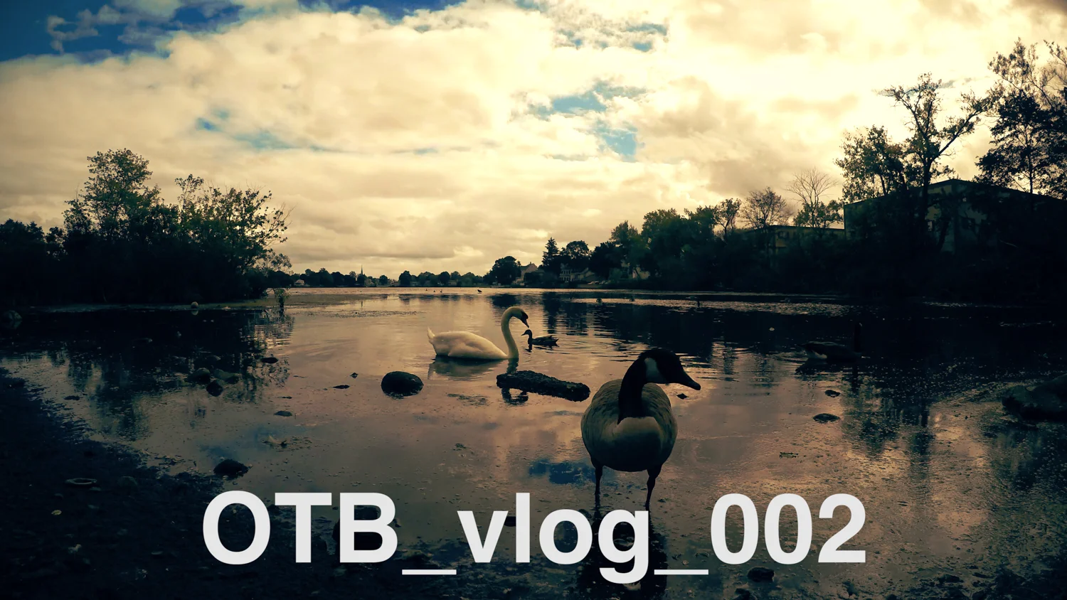 OTB_vlog_002 :: fret level