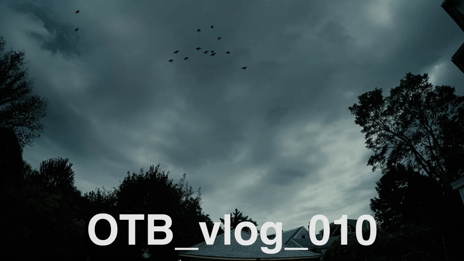 OTB_vlog_010 :: hammer time