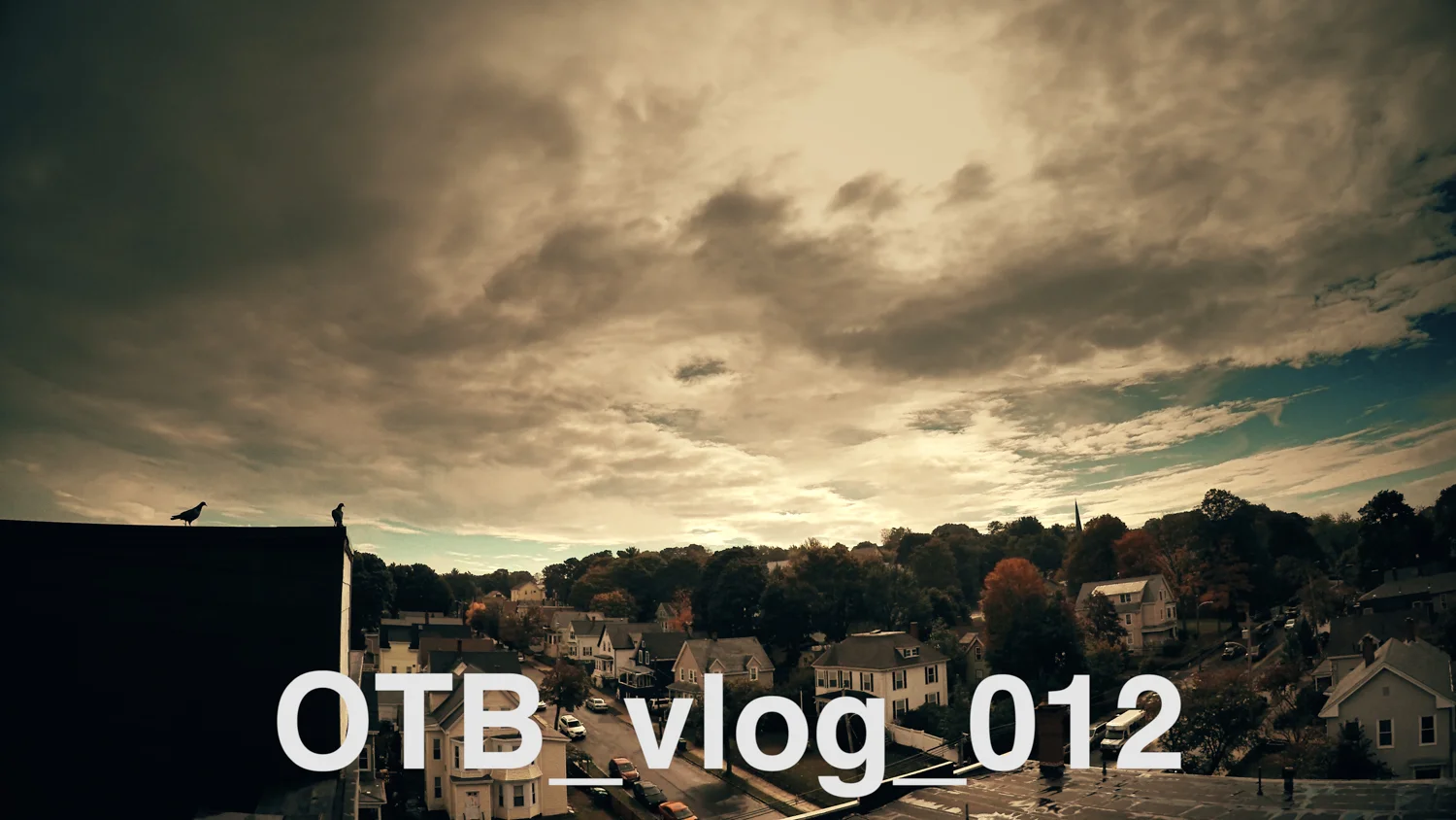 OTB_vlog_012 :: level crown