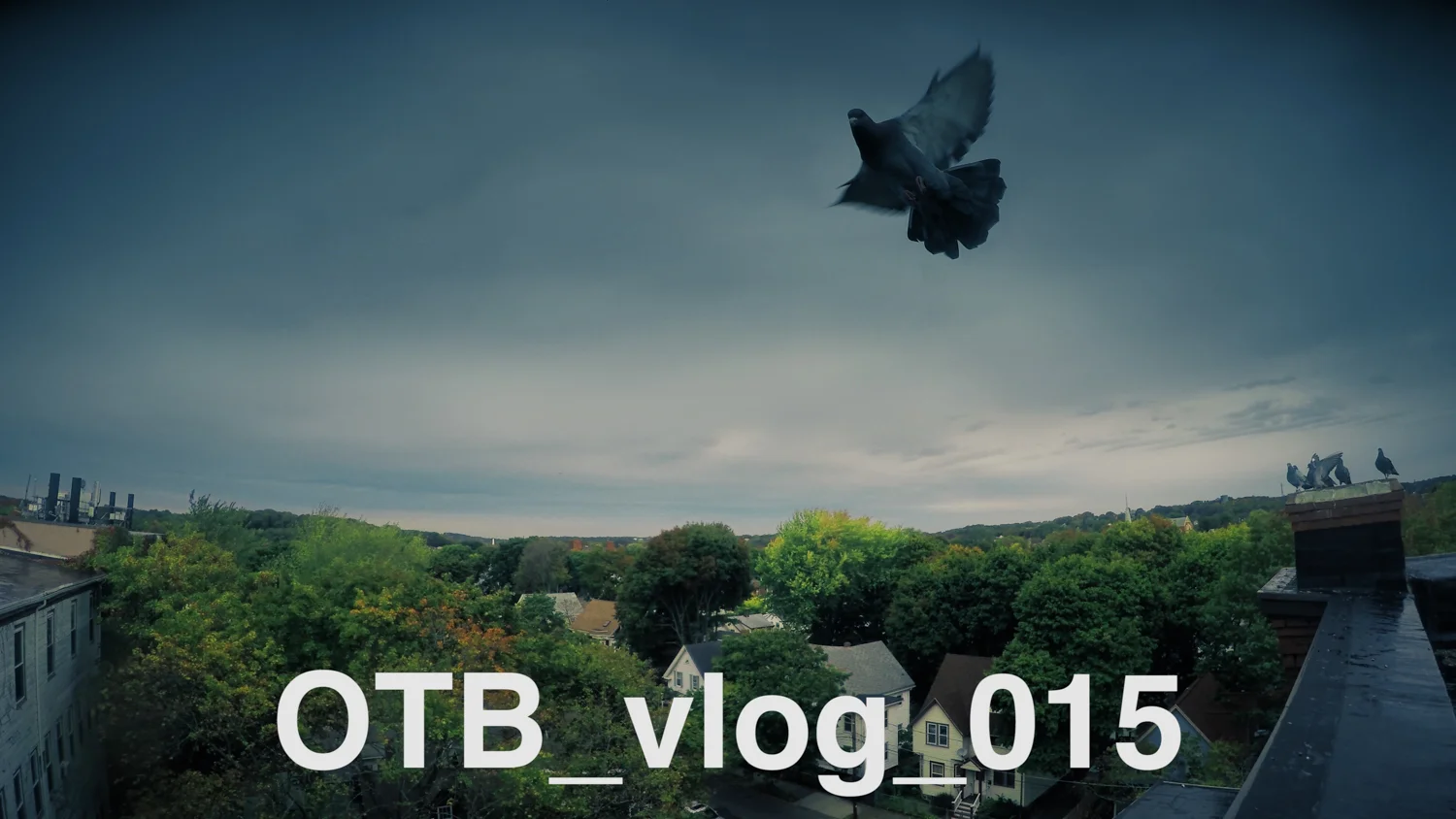 OTB_vlog_015 :: high fret