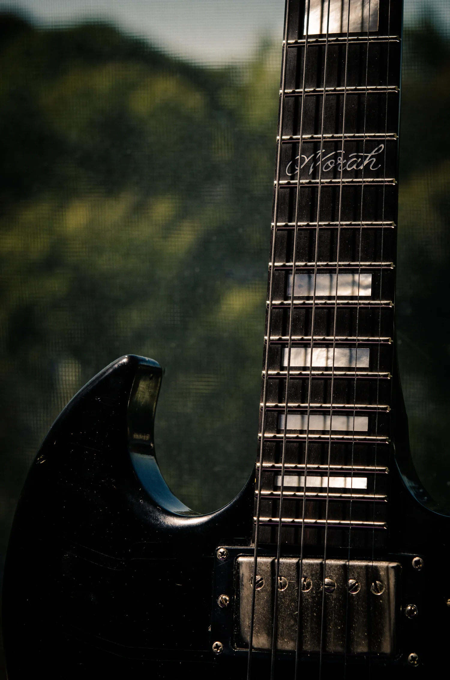 20151017_2001_Gibson_SGR1_norah.jpg