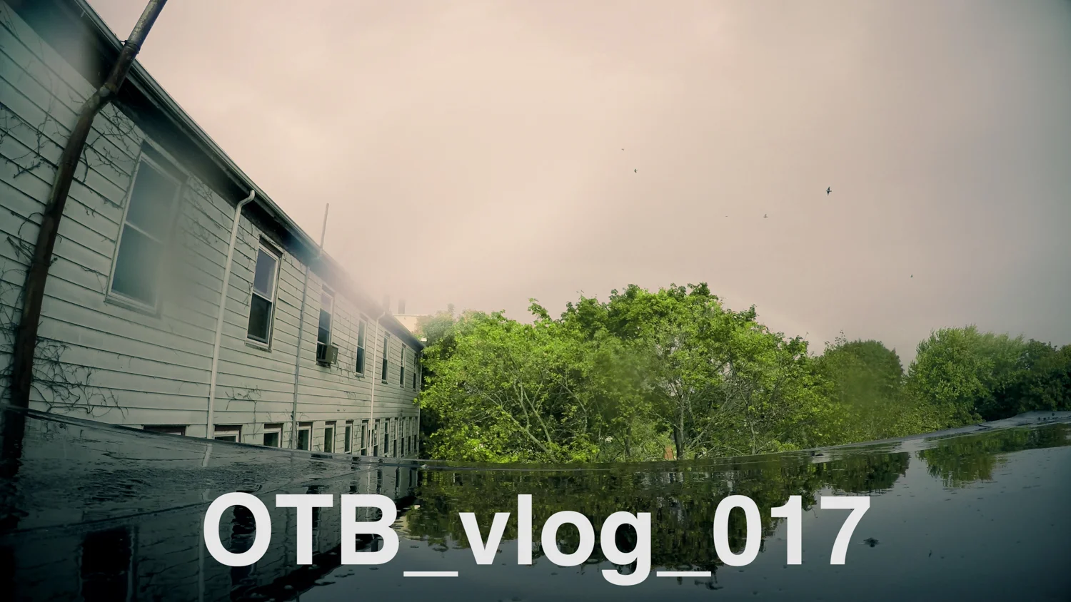 OTB_vlog_017 :: finish repair