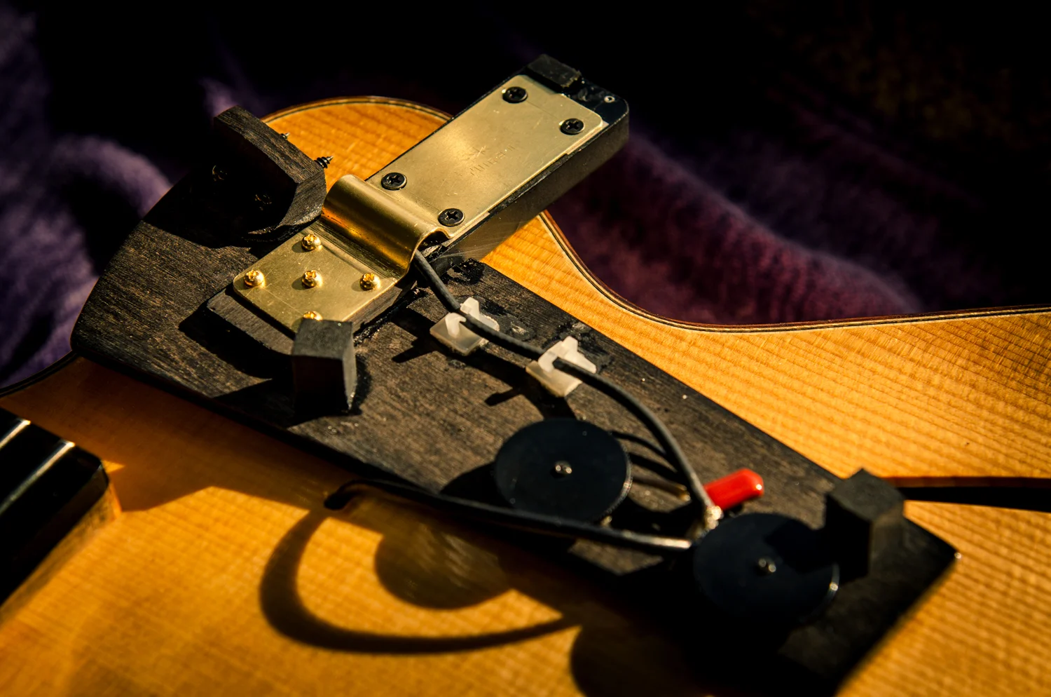 Custom Bartolini pickguard mount :: 2009 Eastman Pagelli PG2 [5.1 lbs]