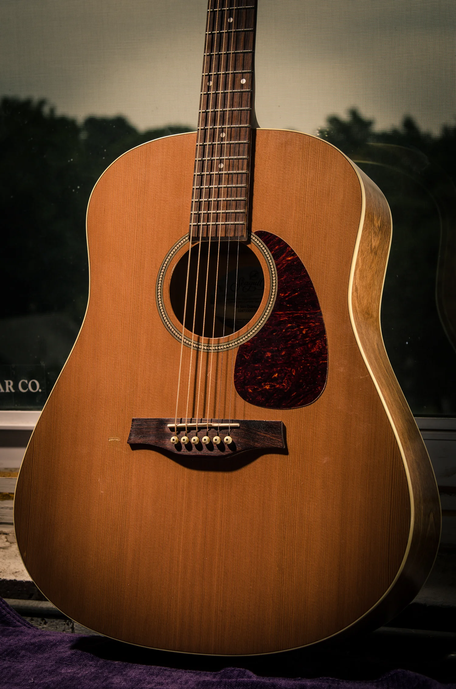 Seagull S6 Quantum I [4.9 lbs] :: setup