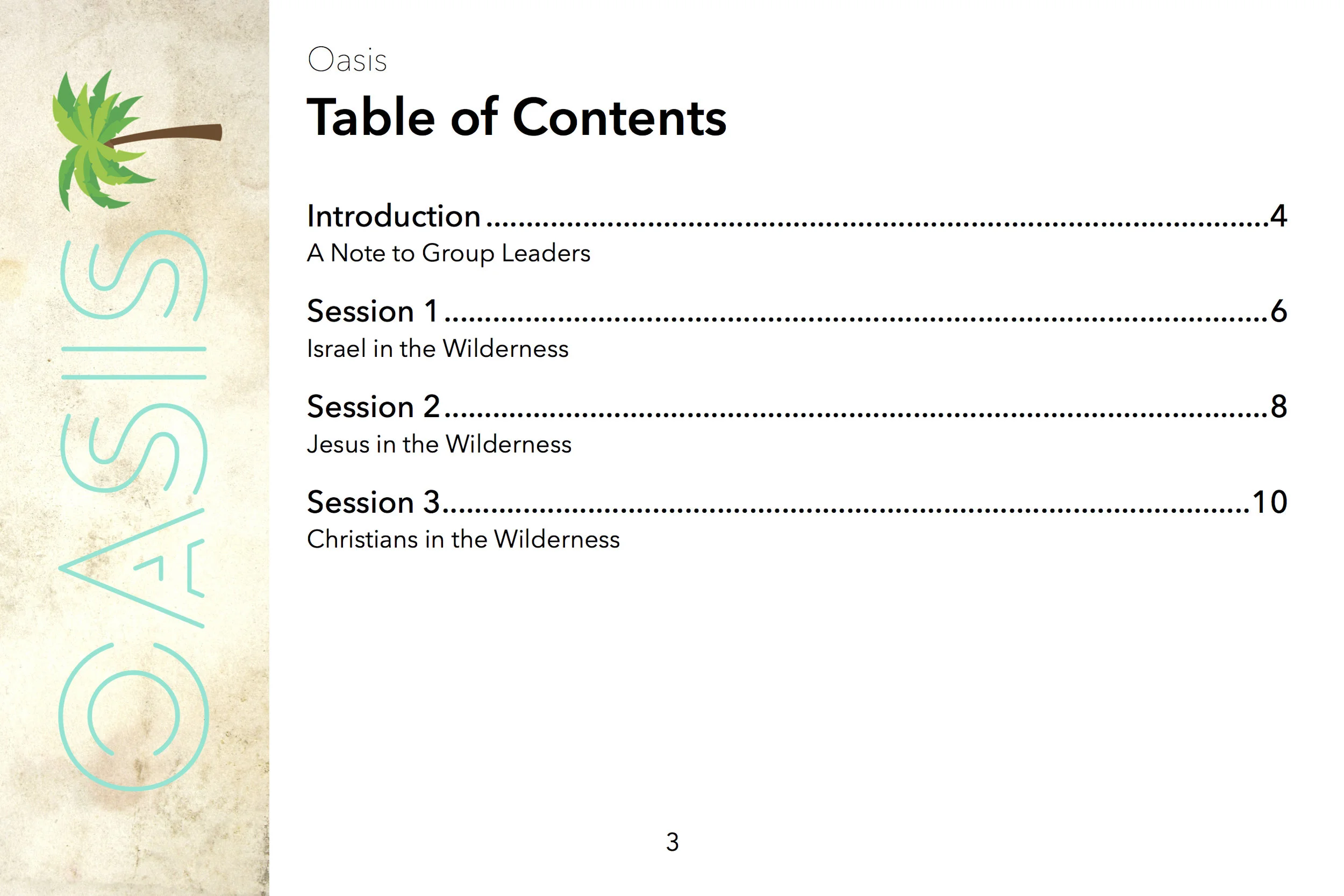 OASIS Youth Leader Guide TOC.jpg
