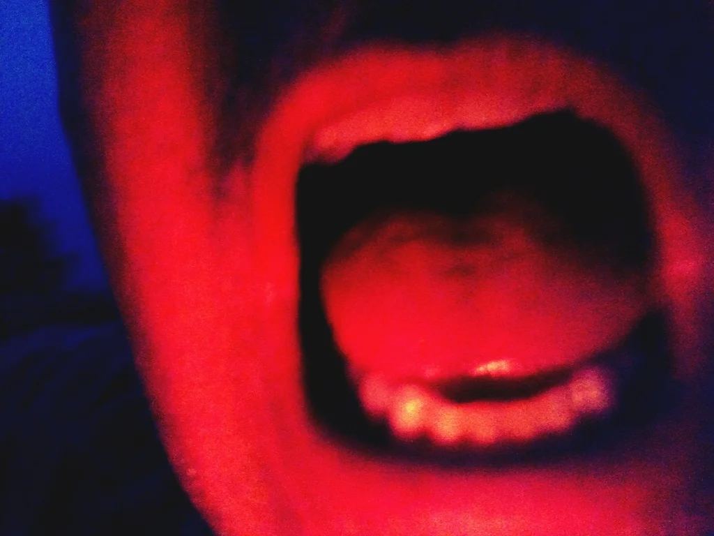 mp_stills006.jpg