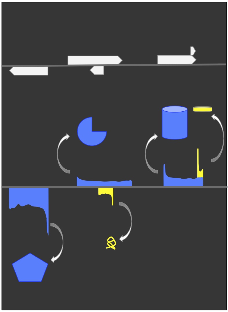 Meiotic roles for short Open Reading Frames