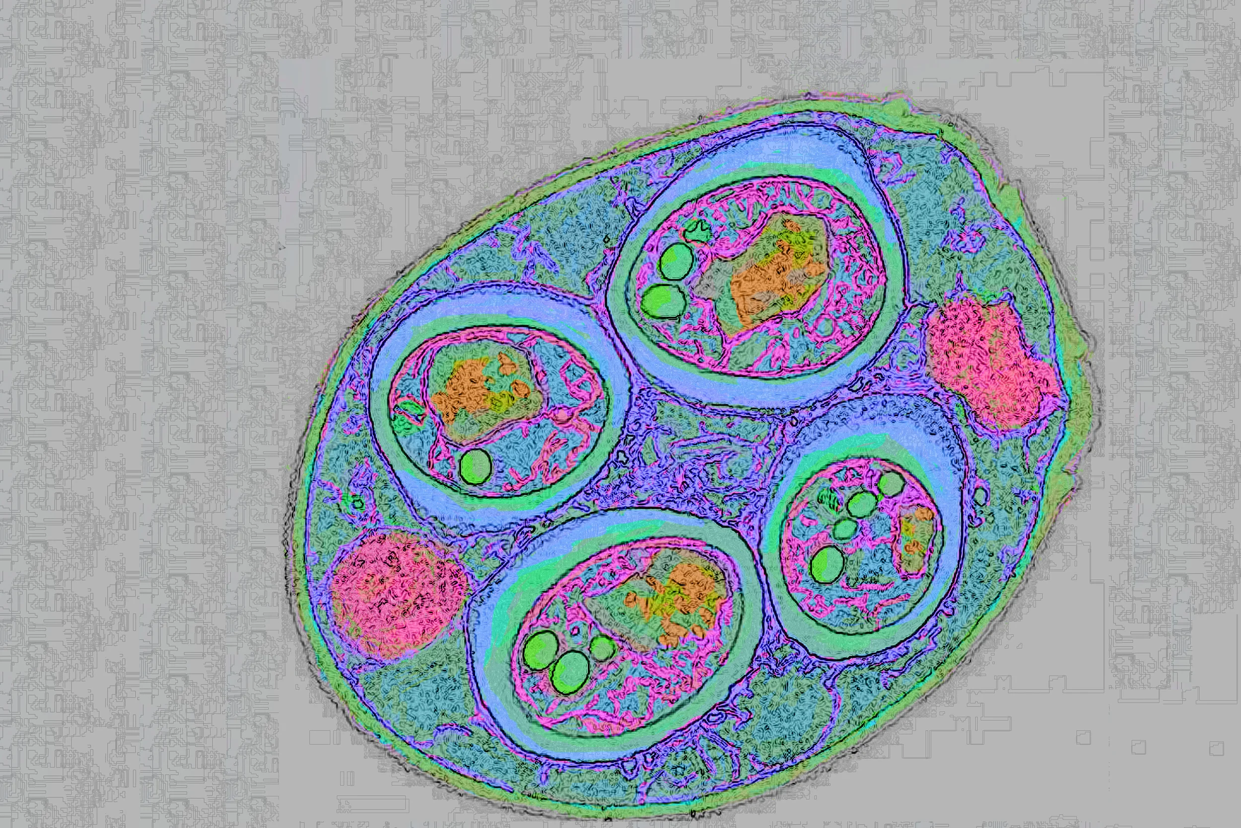 test.jpg