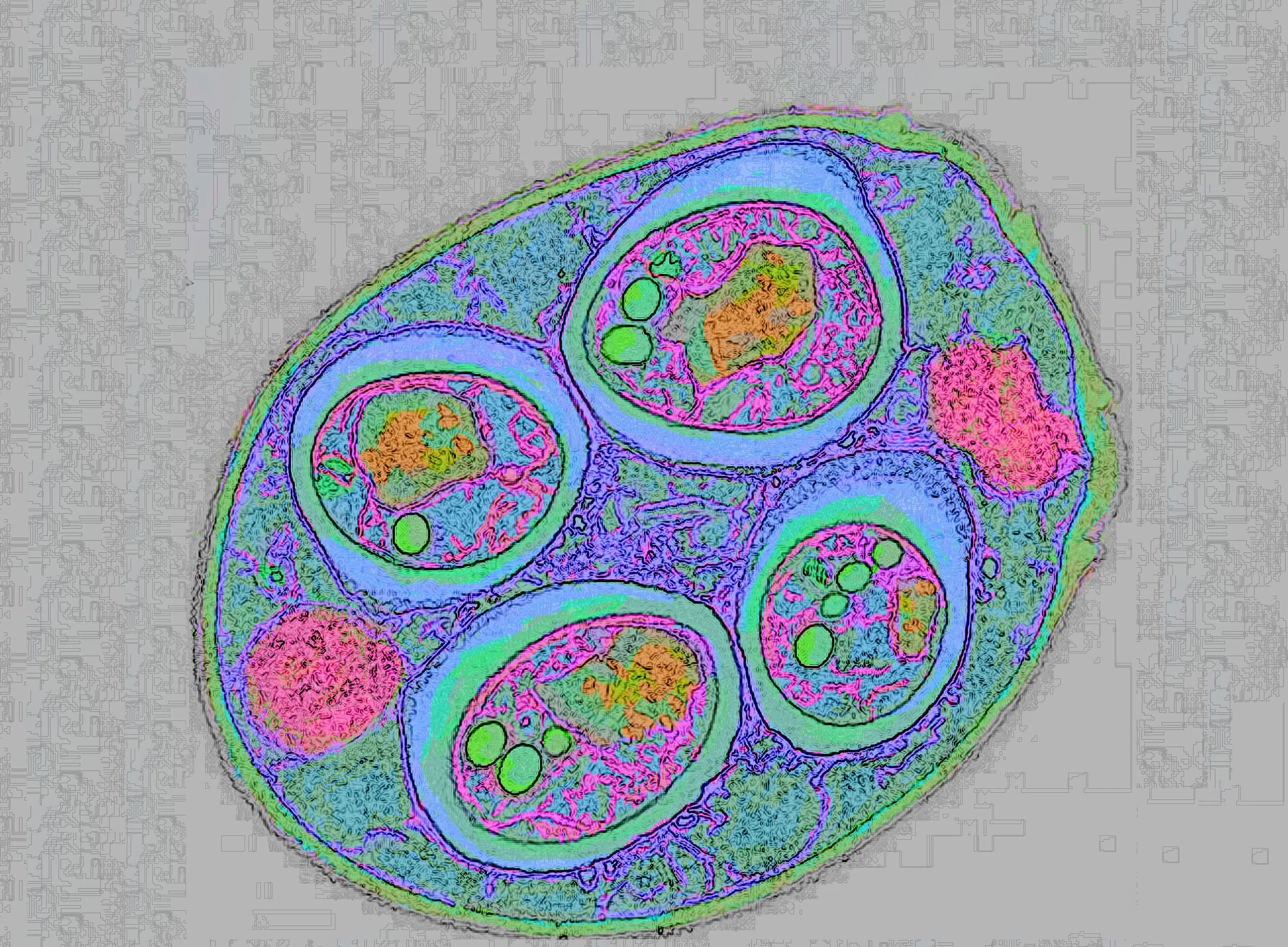 test3.jpg