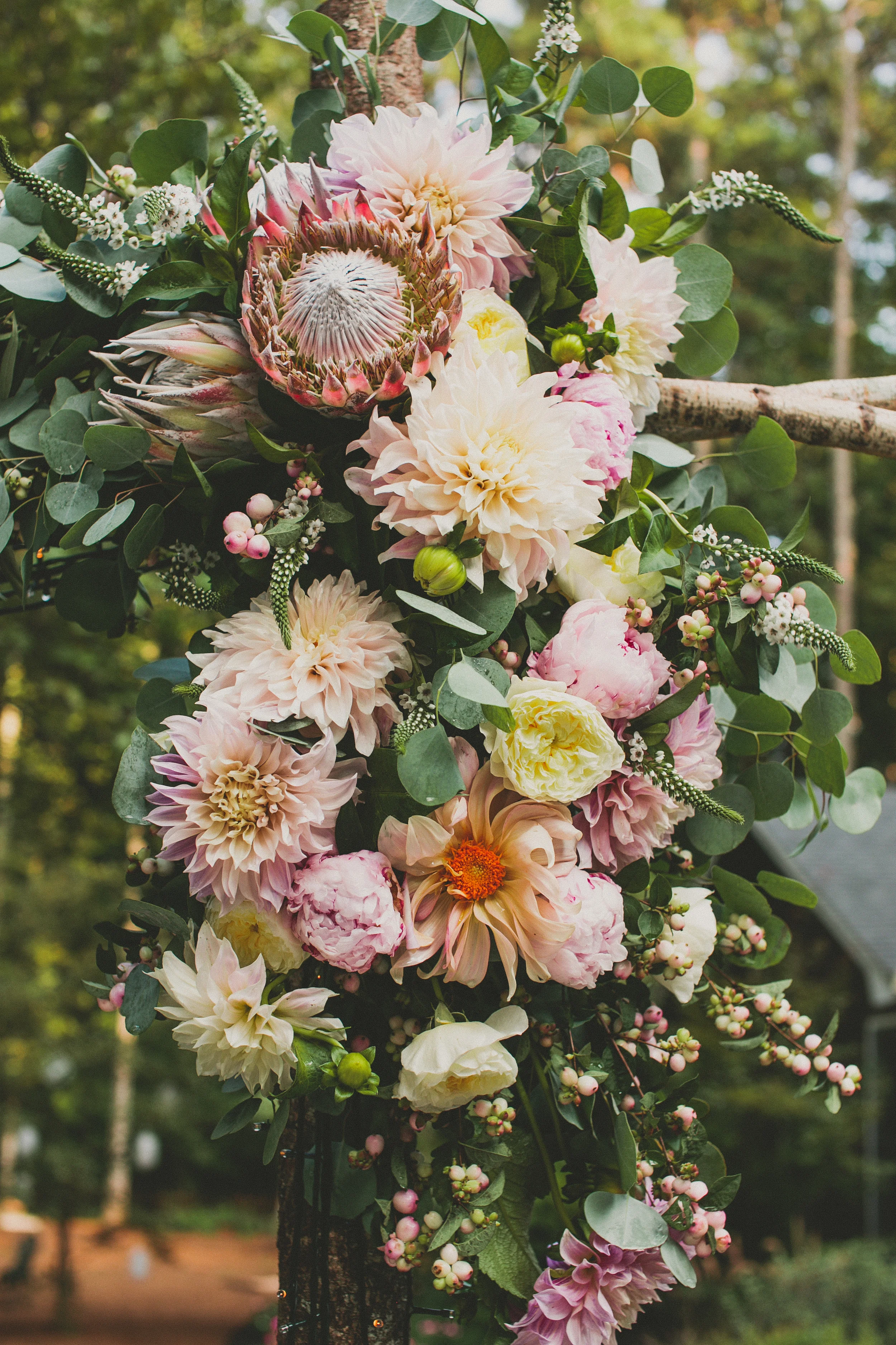 Kendra Elise Photography