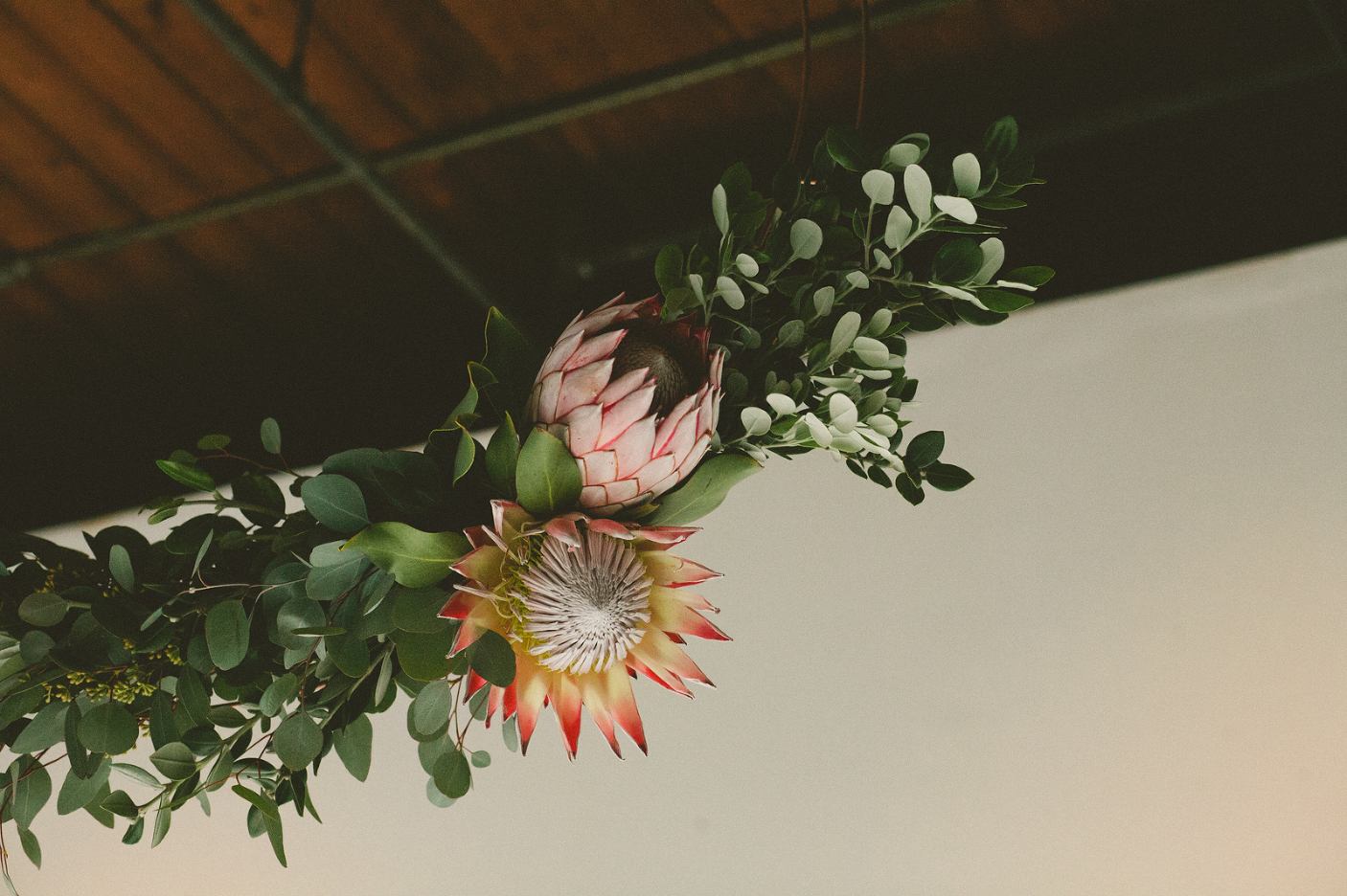 Bri McDaniel Photography