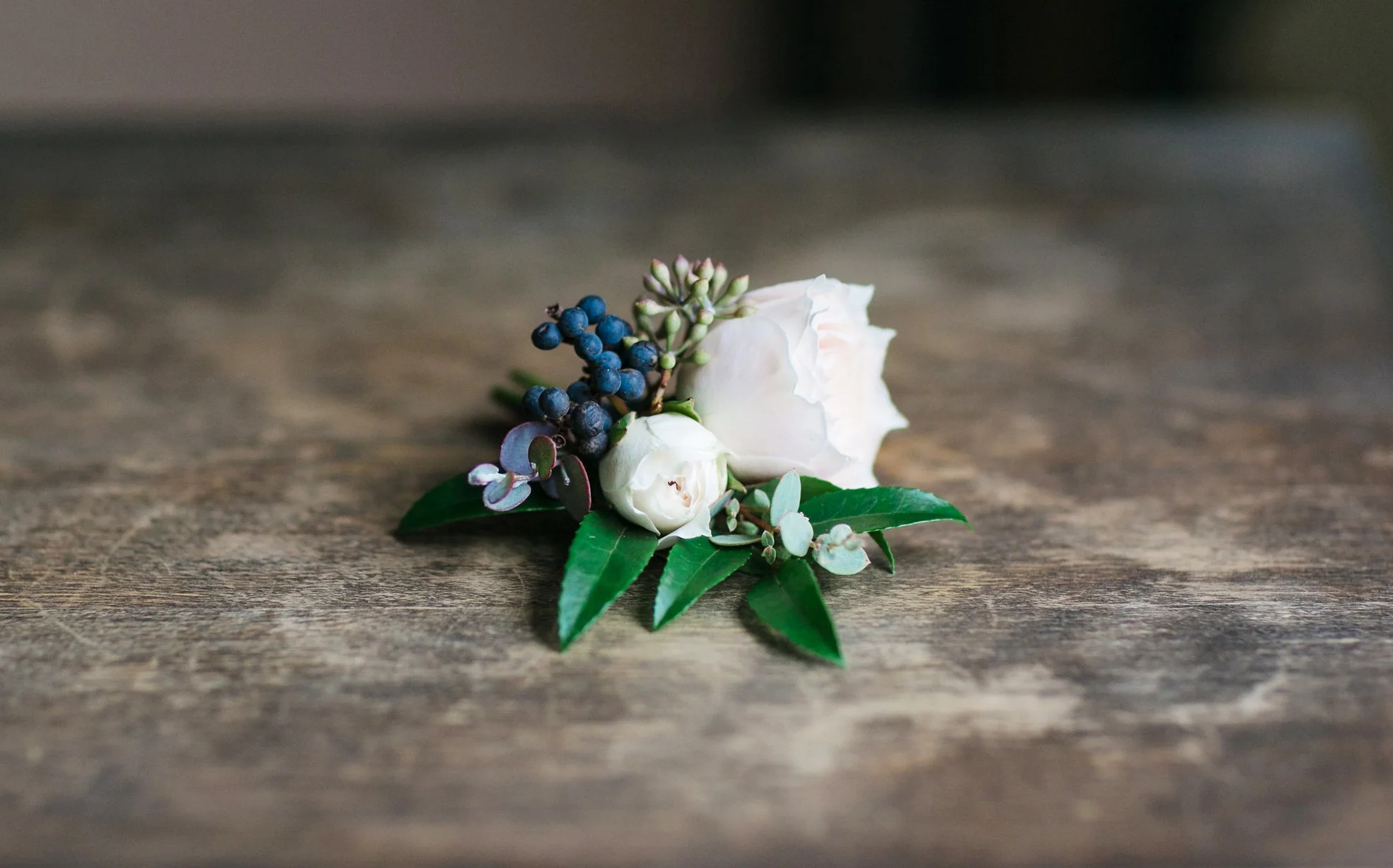 Paperlily Photography