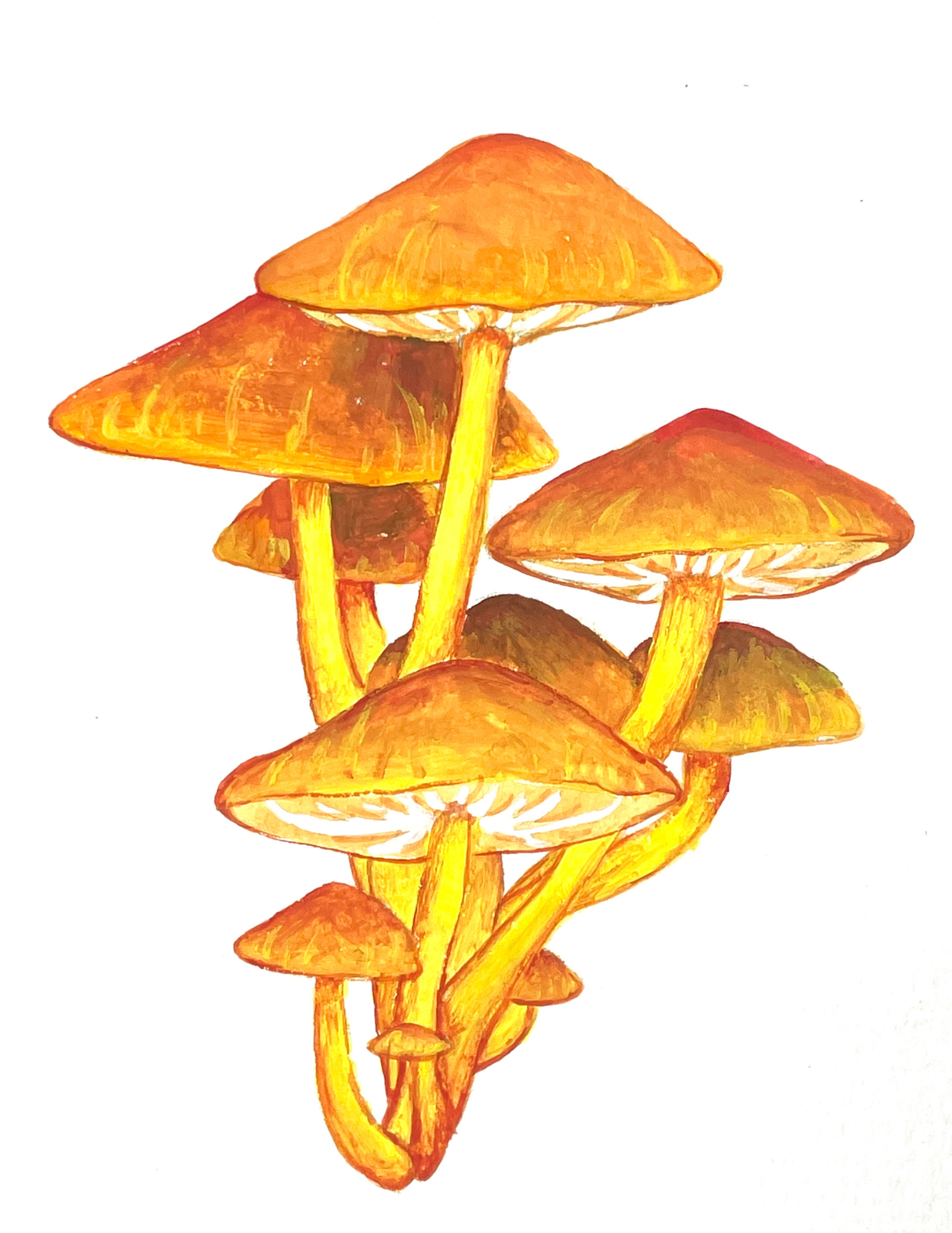 Caleigh Bird Art mushroom stickers (2).png
