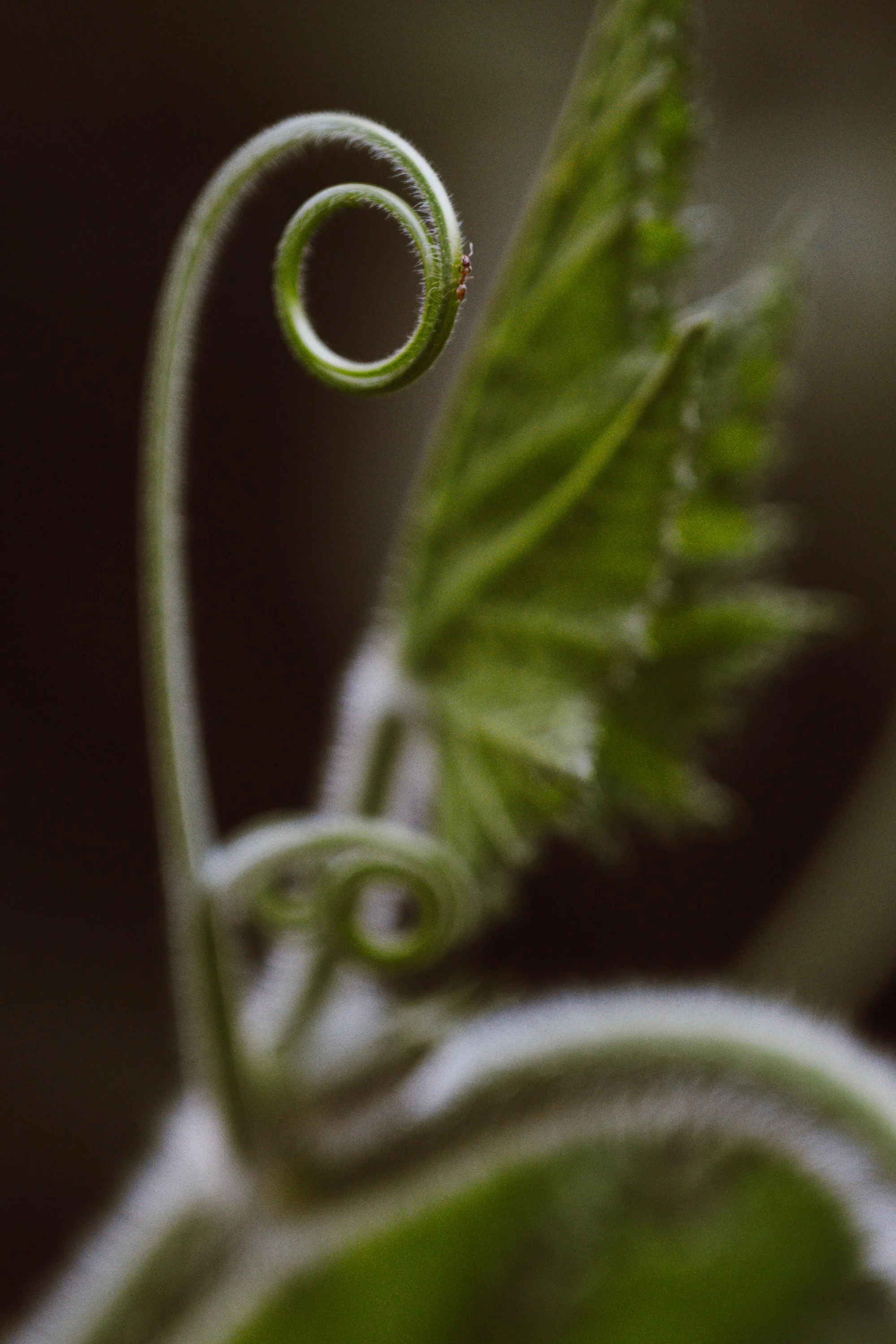 DSC_0341.jpg