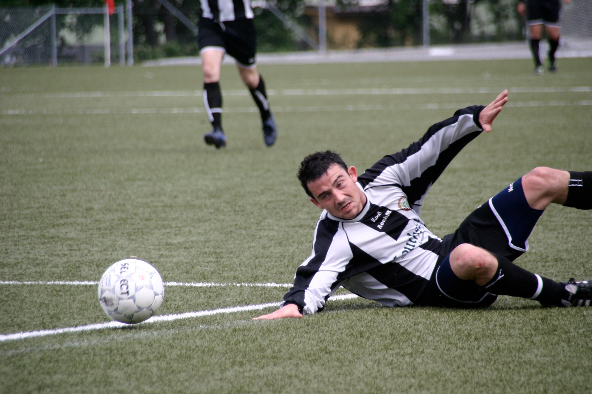 IMG_7884.jpg