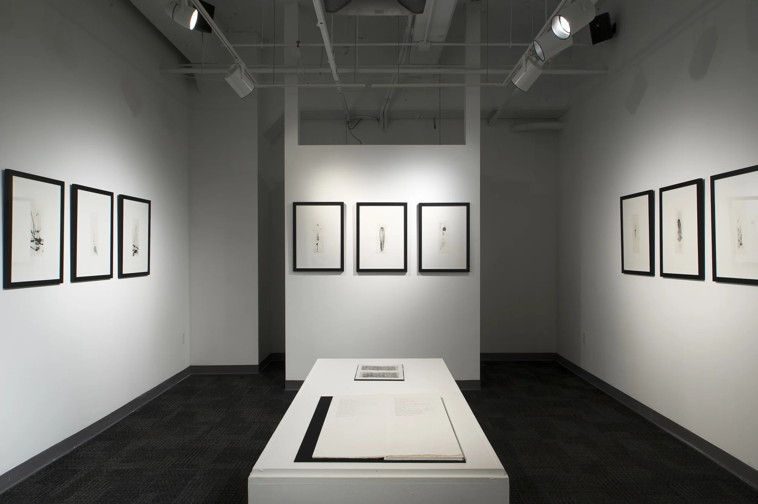 1Portraits_Instillation1.jpg