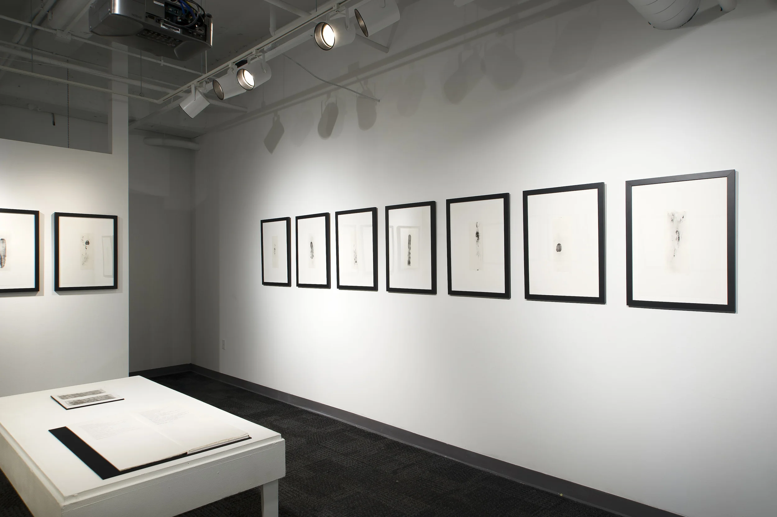 1Portraits_Instillation2.jpg