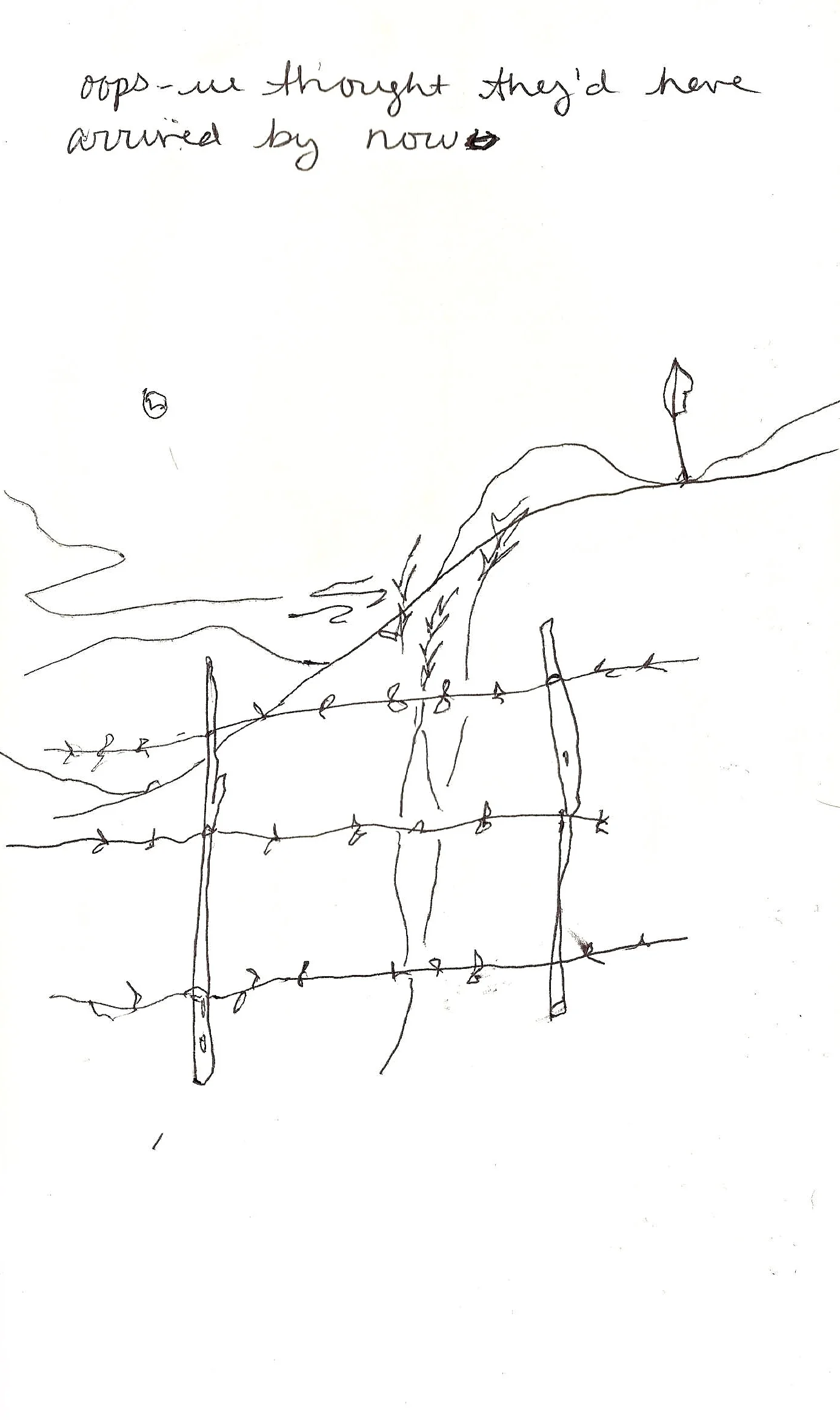 Sketch.TusaFence.DiDonato.2016.jpg